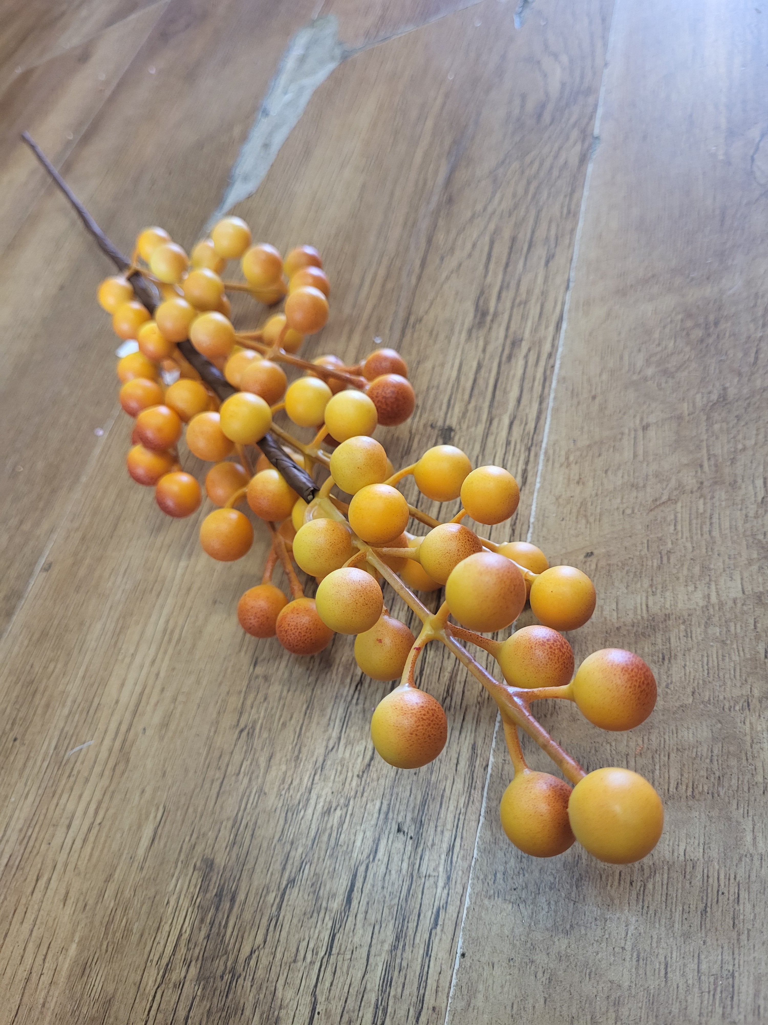 Long stem autumnal yellow berry stem image 0