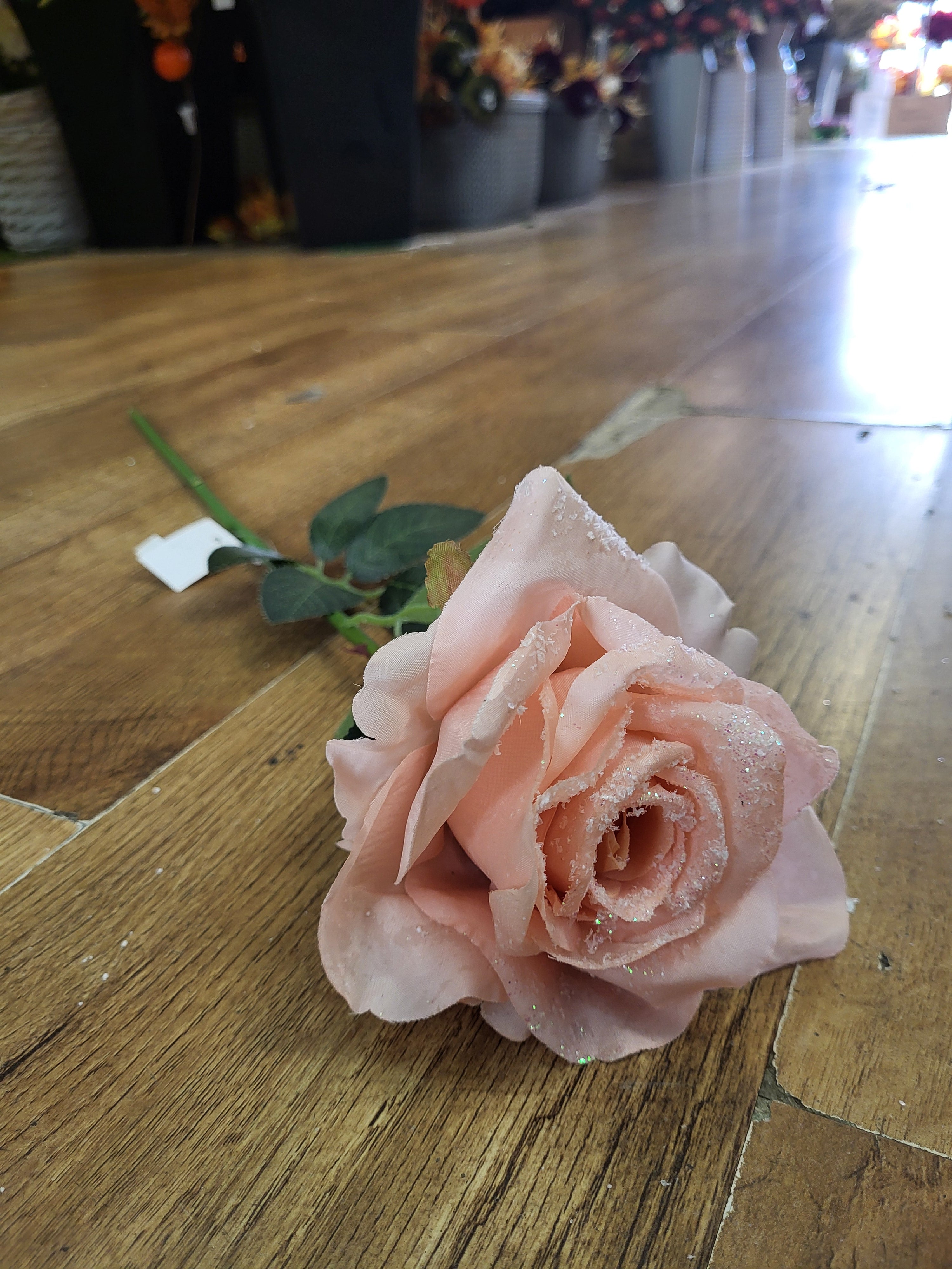 Long stem single frosted soft pink Rose image 6