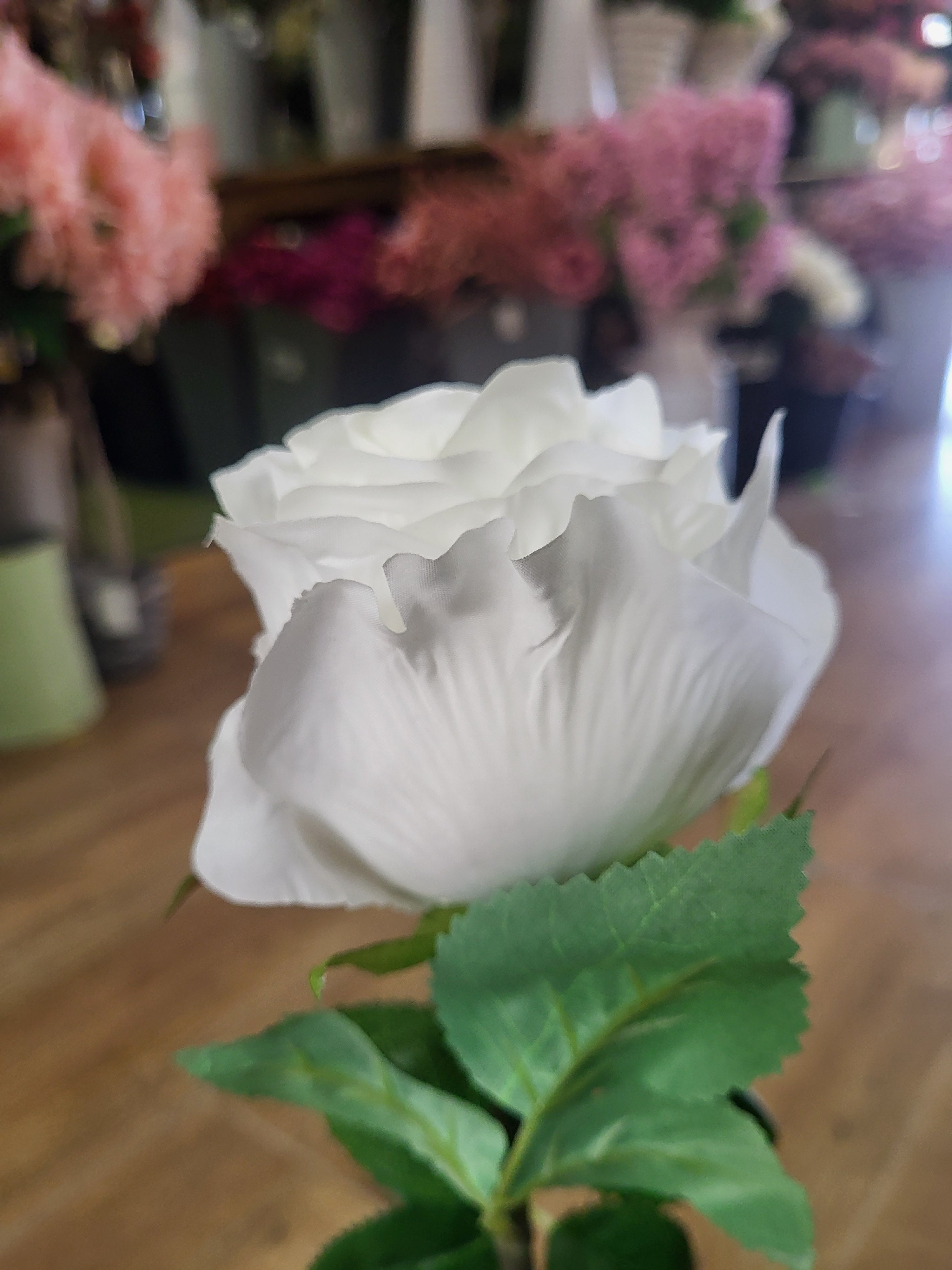 White Lila Rose  image 2