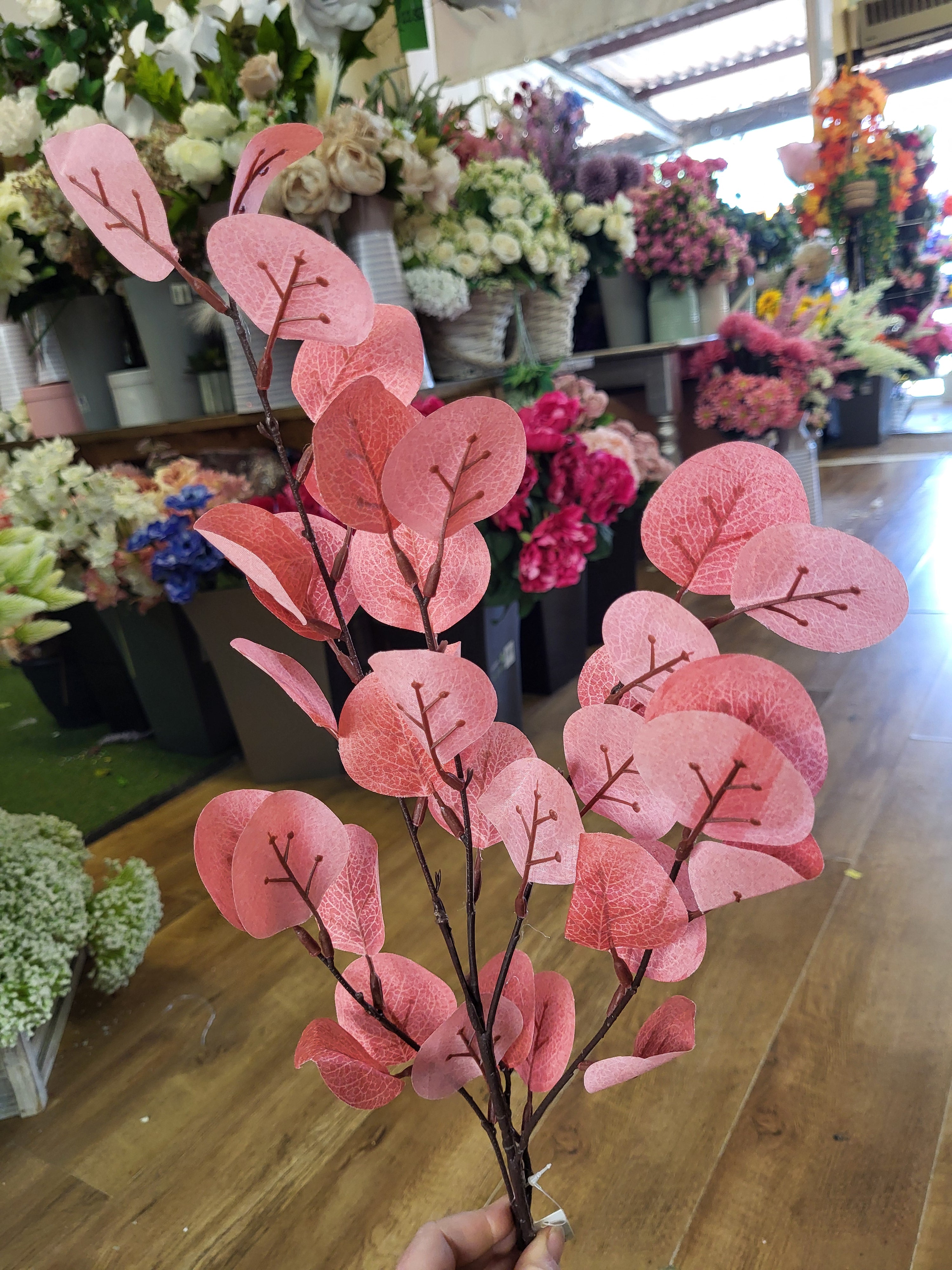 Long stem orangey/red eucalyptus spray image 0