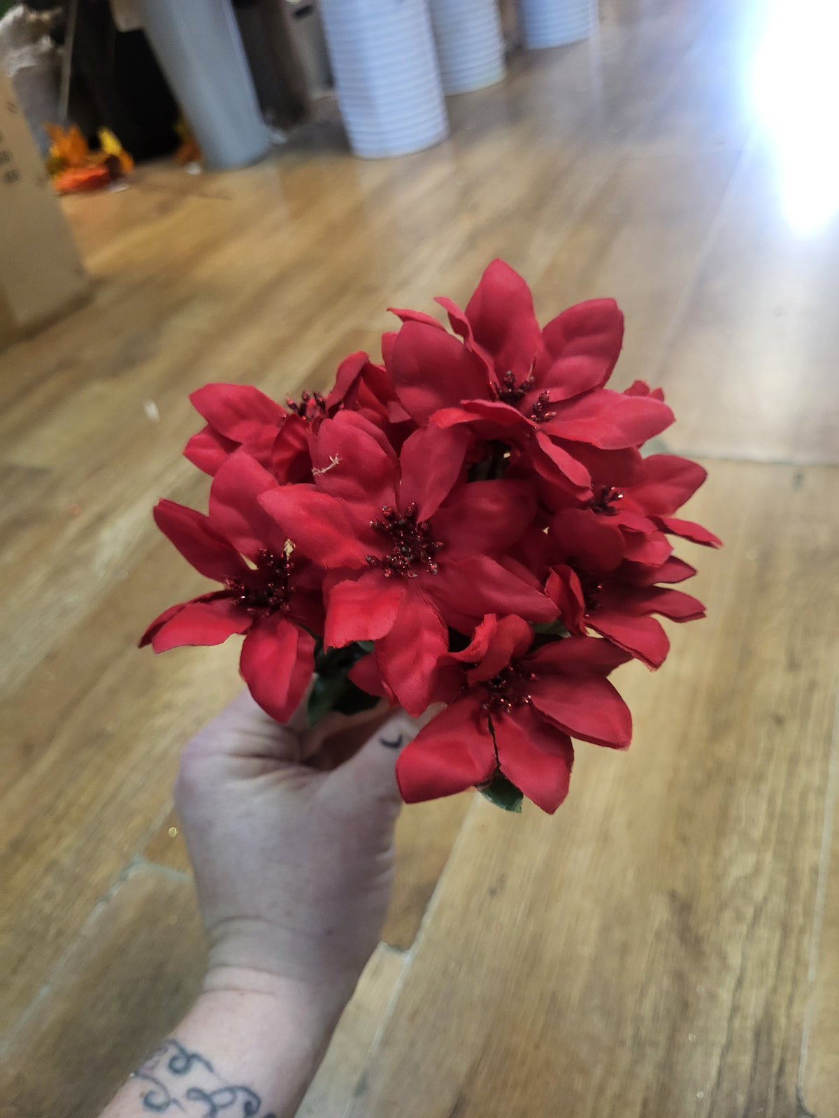 Mini poinsettia bunch  - 4 colours available image 5