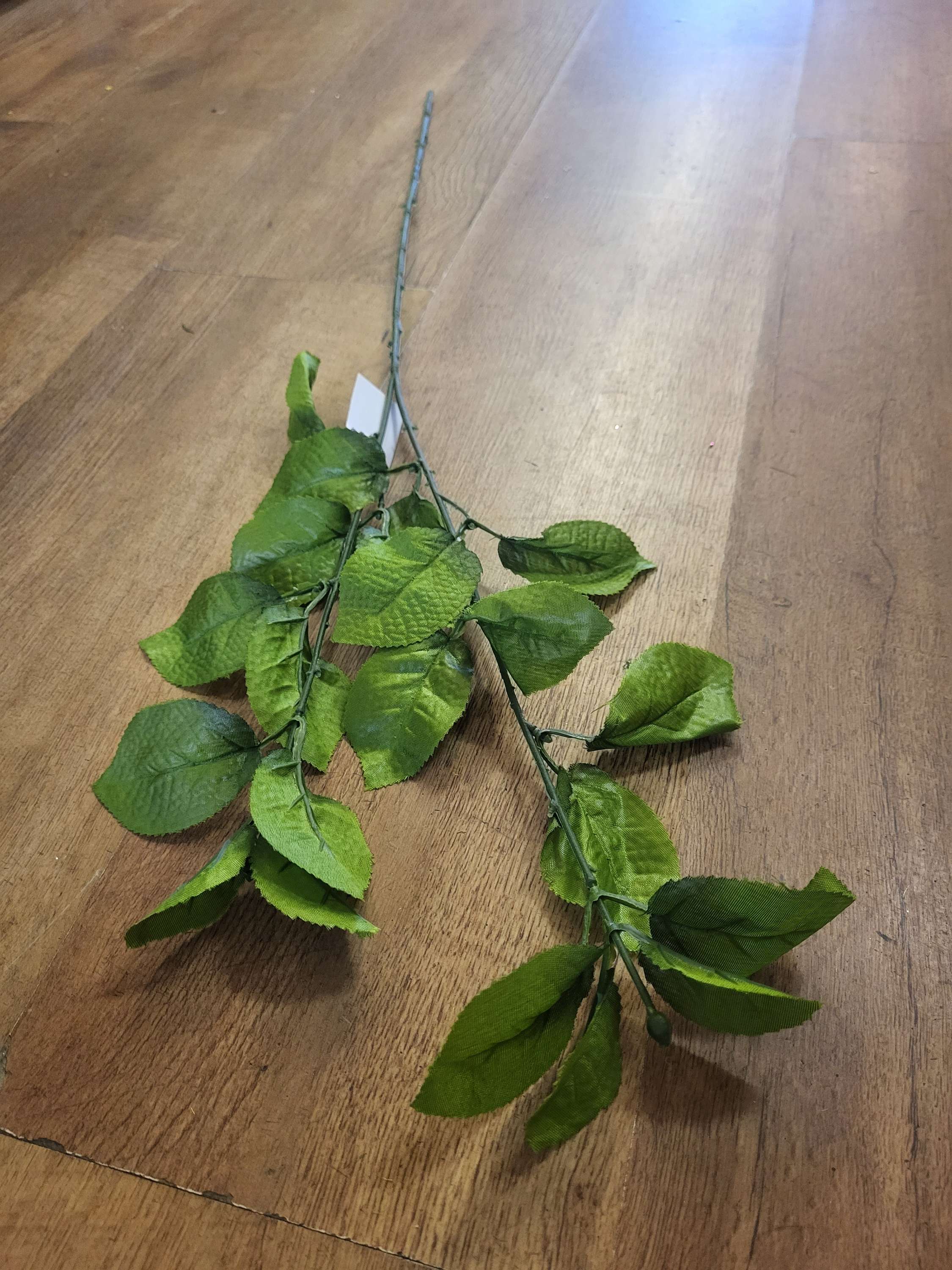 Long stem foliage  - 2 colours image 2