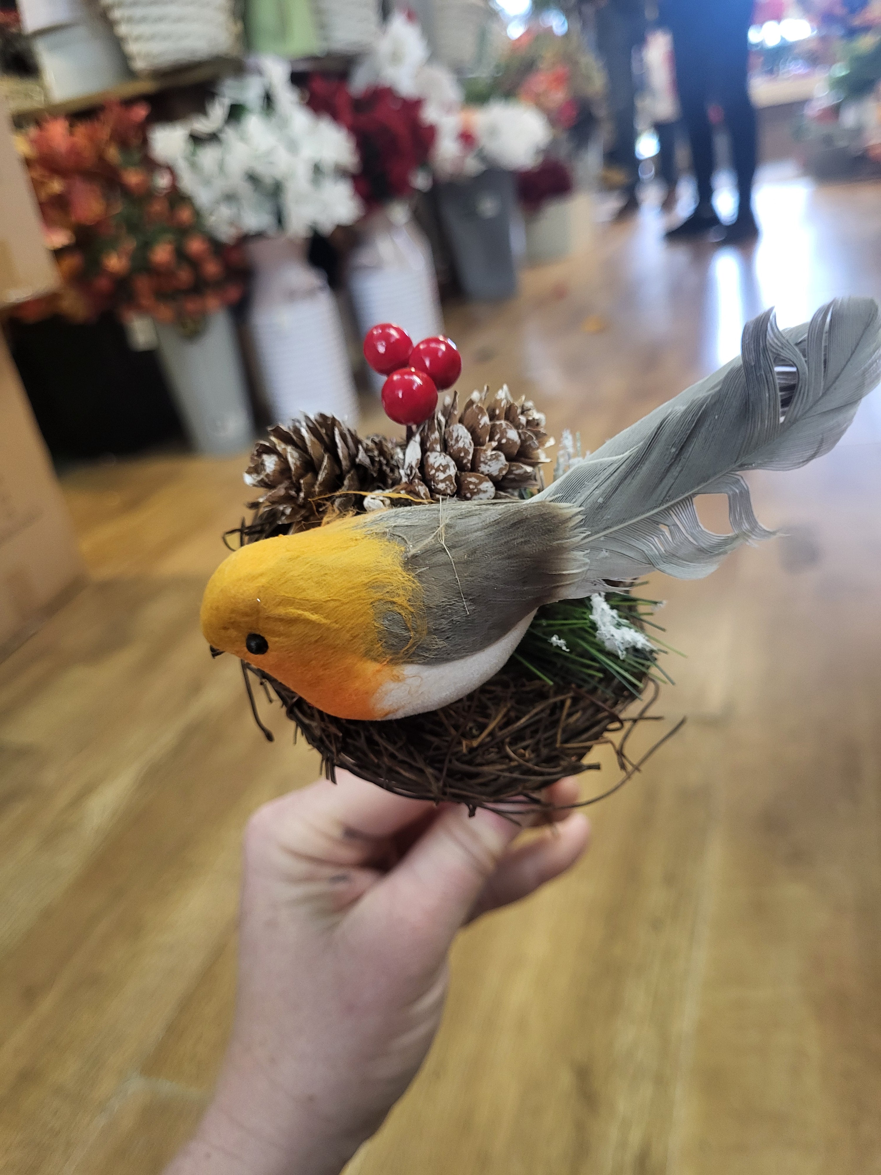 Robin in a nest pick image 1