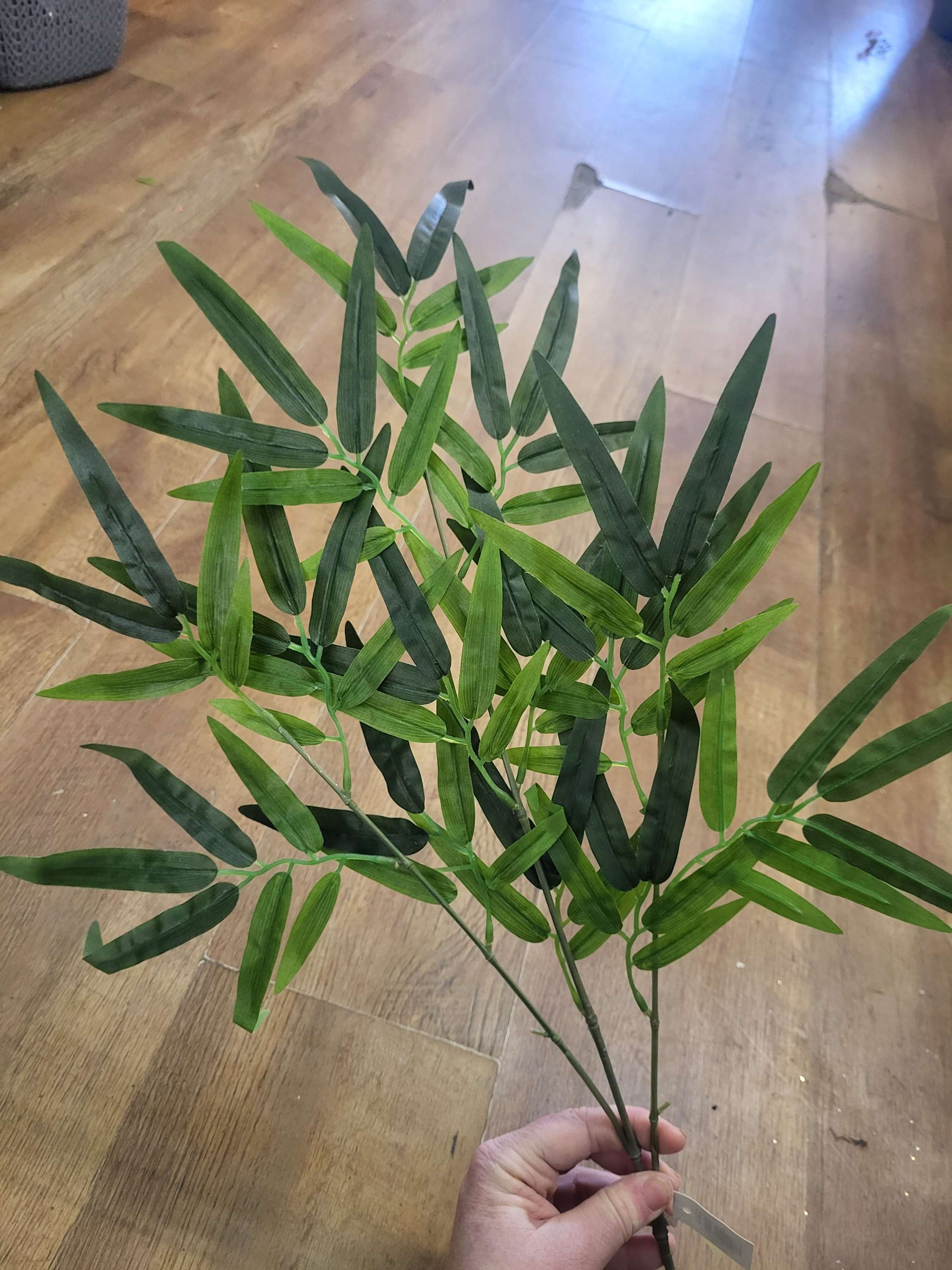 Bamboo leaf spray image 1