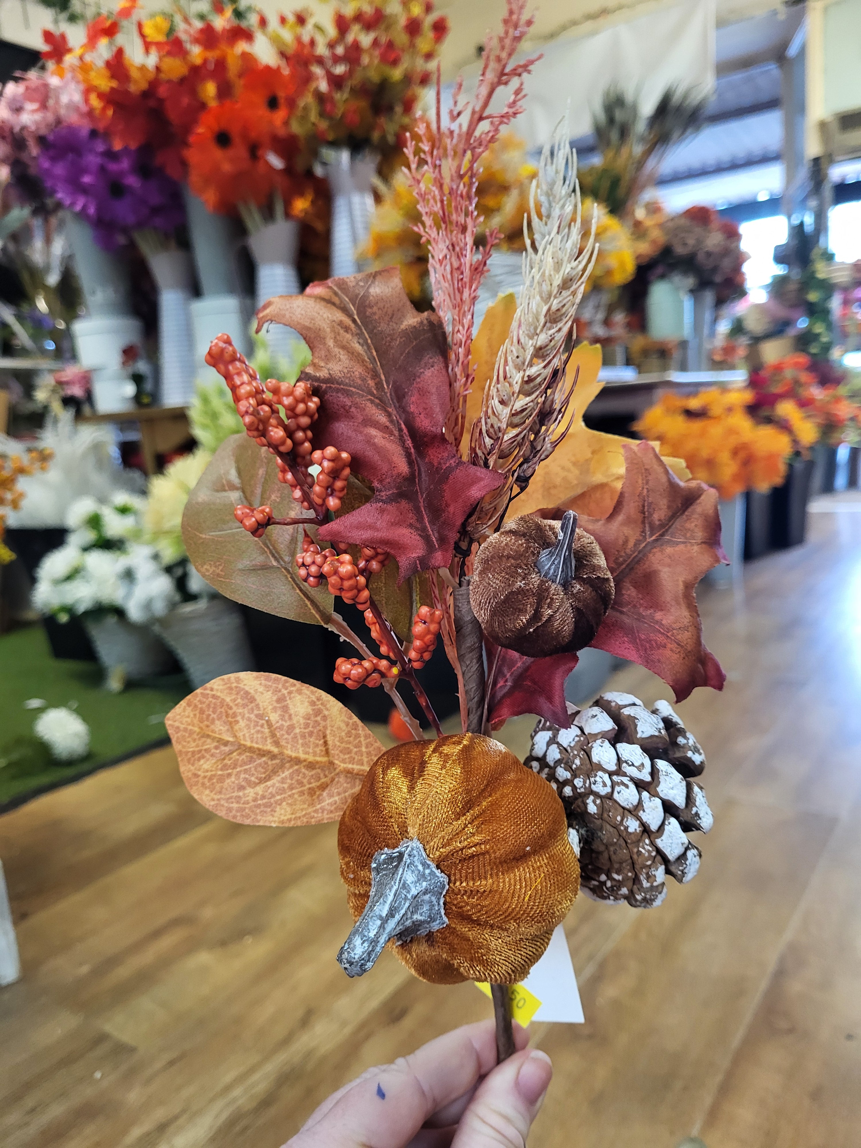 Velvet pumpkin, cones and mixed autumnal foliage branch image 5
