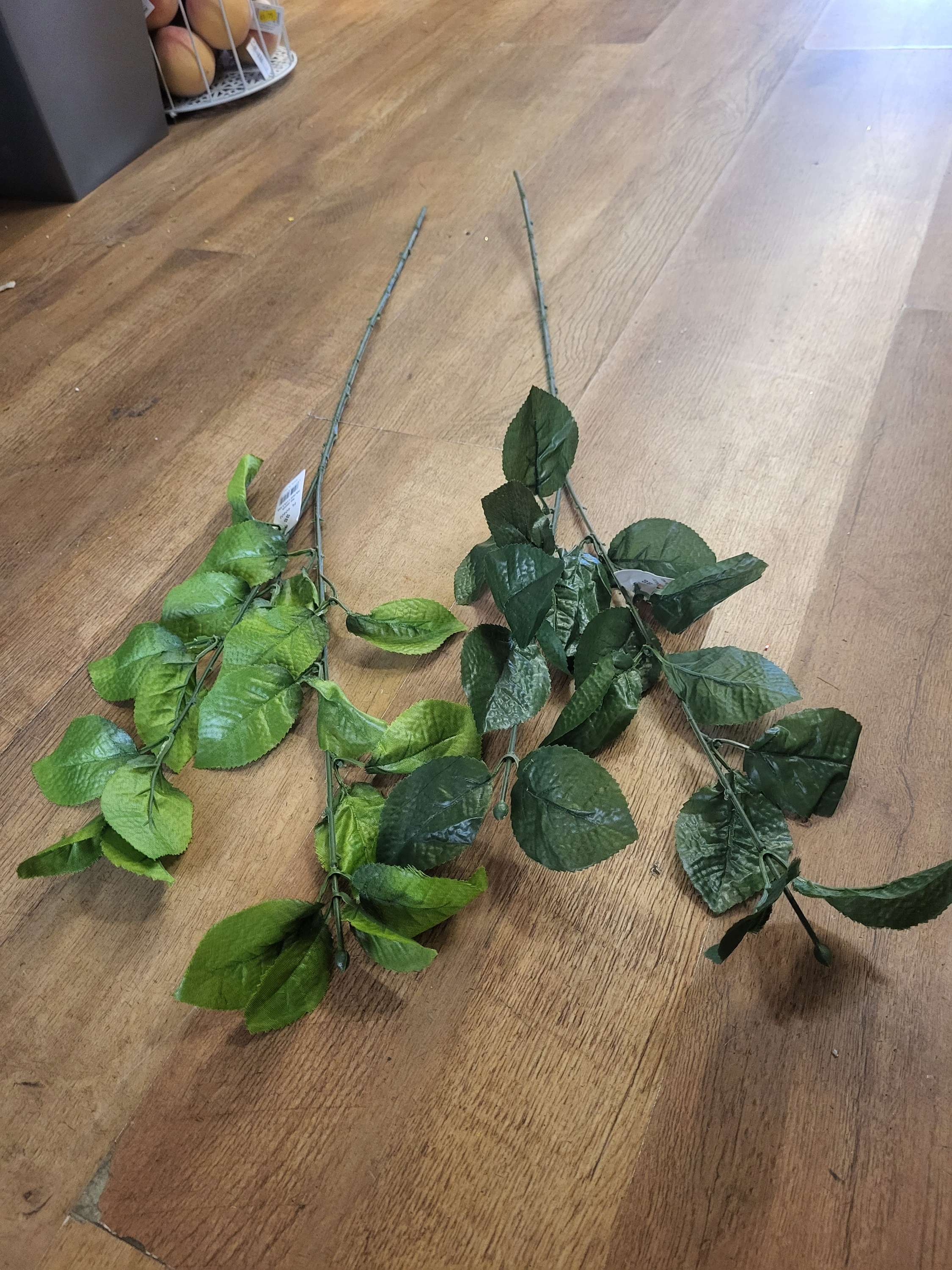 Long stem foliage  - 2 colours image 0