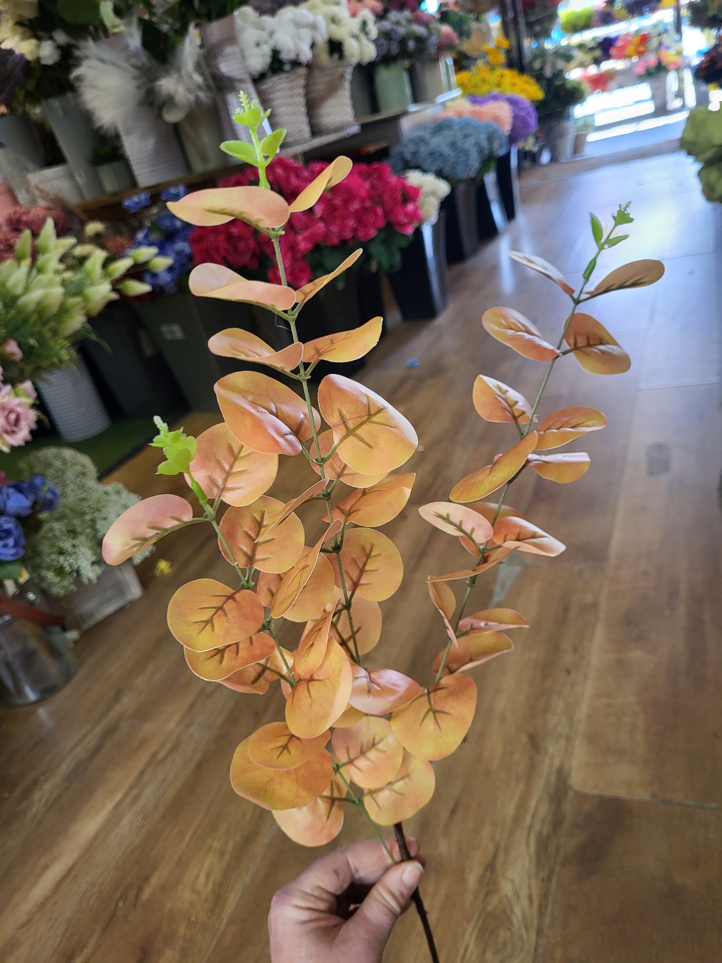 Long stem orange/yellow eucalyptus spray image 3