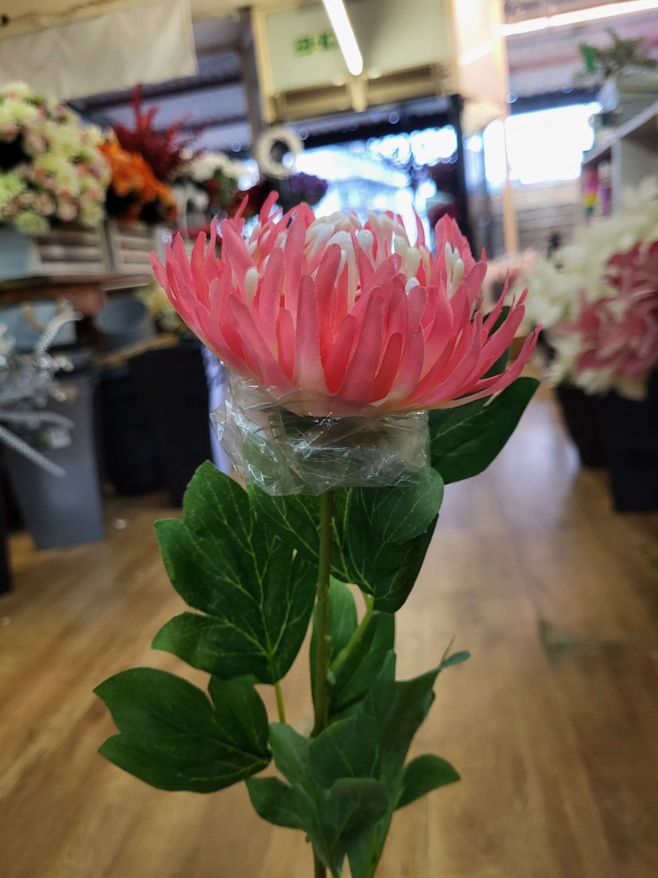 Long stem single chrysanthemum  - 3 colours available image 7