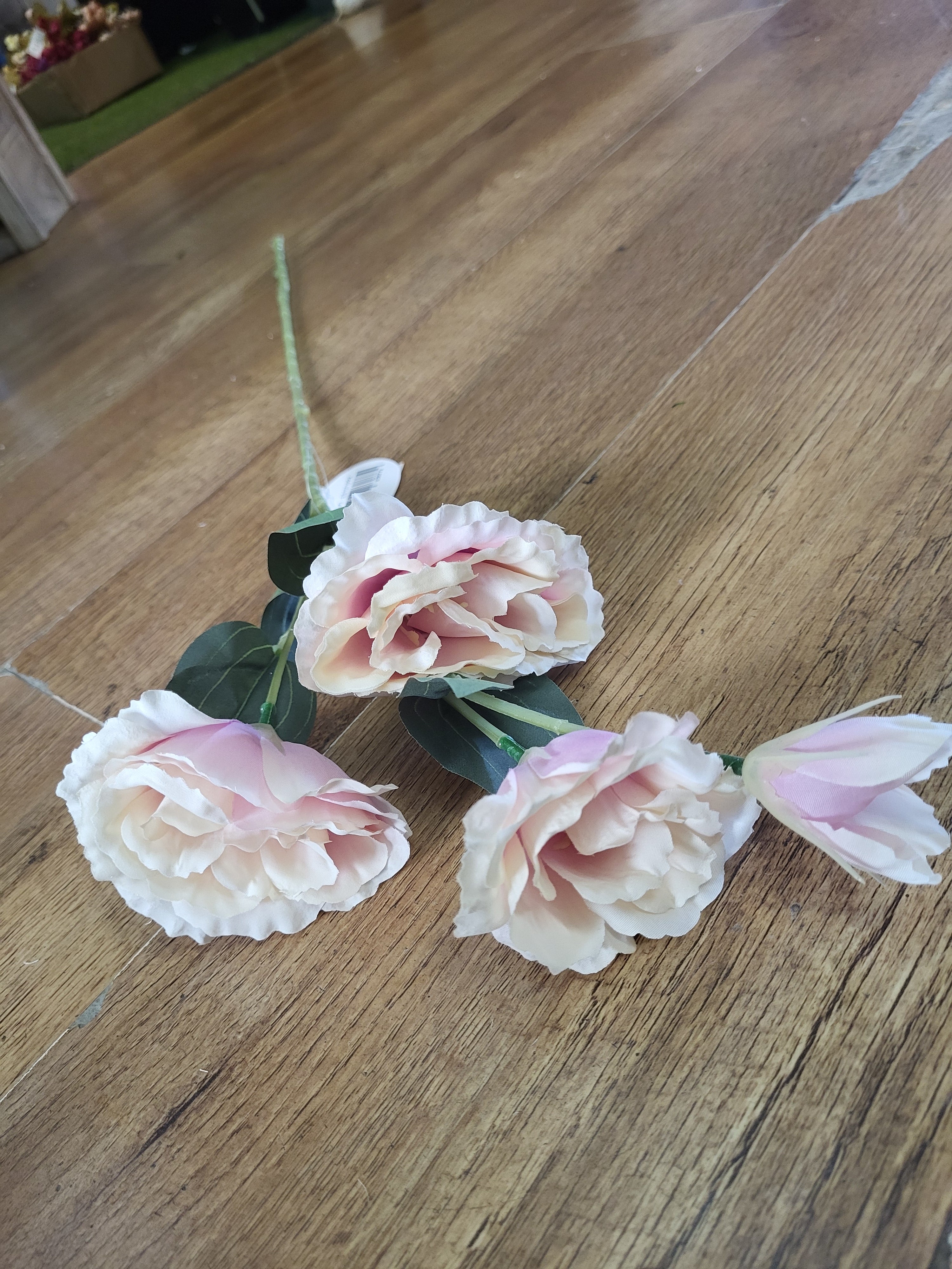 Long stem pale pink lisianthus  image 0