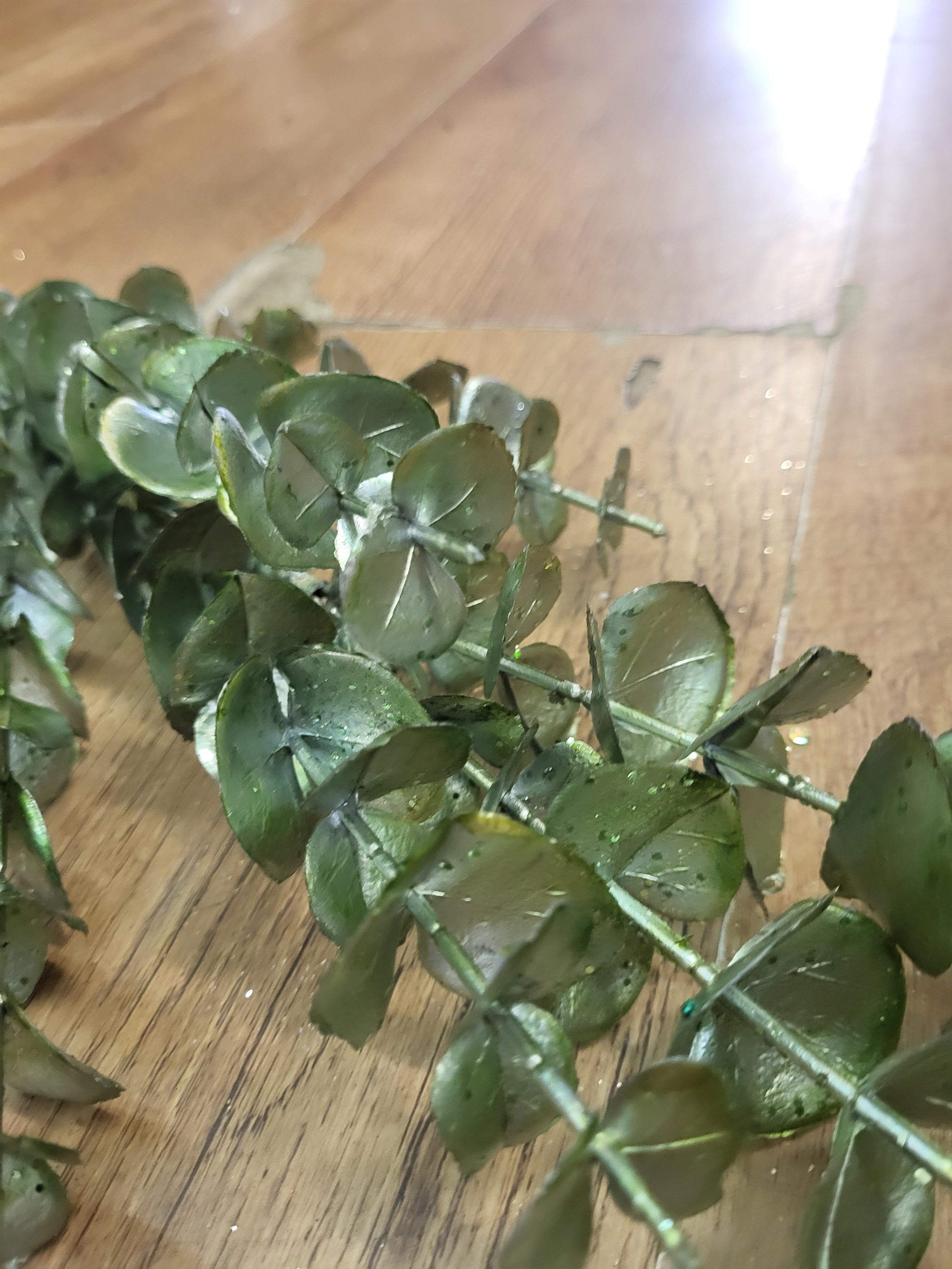 Long stem metallic sage green eucalyptus image 2