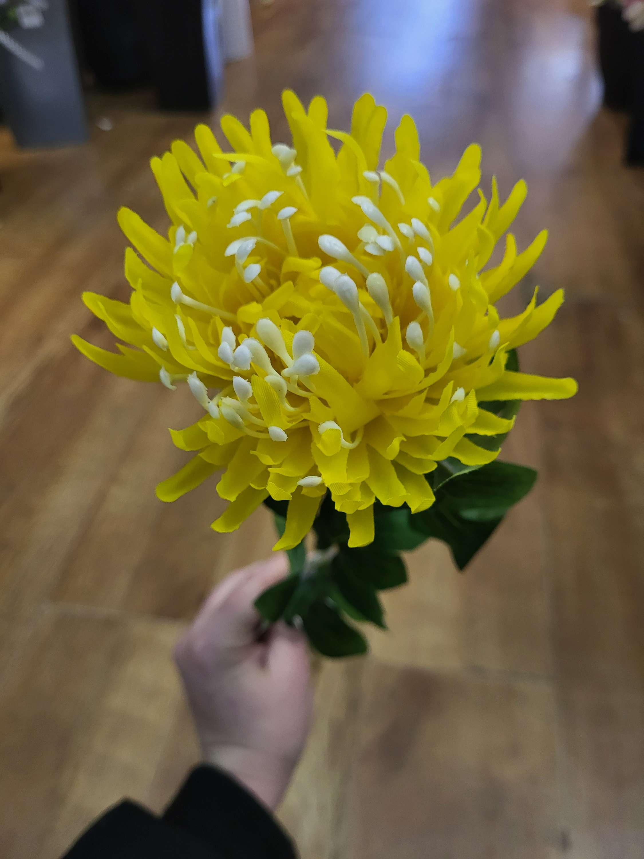 Long stem single chrysanthemum  - 3 colours available image 9