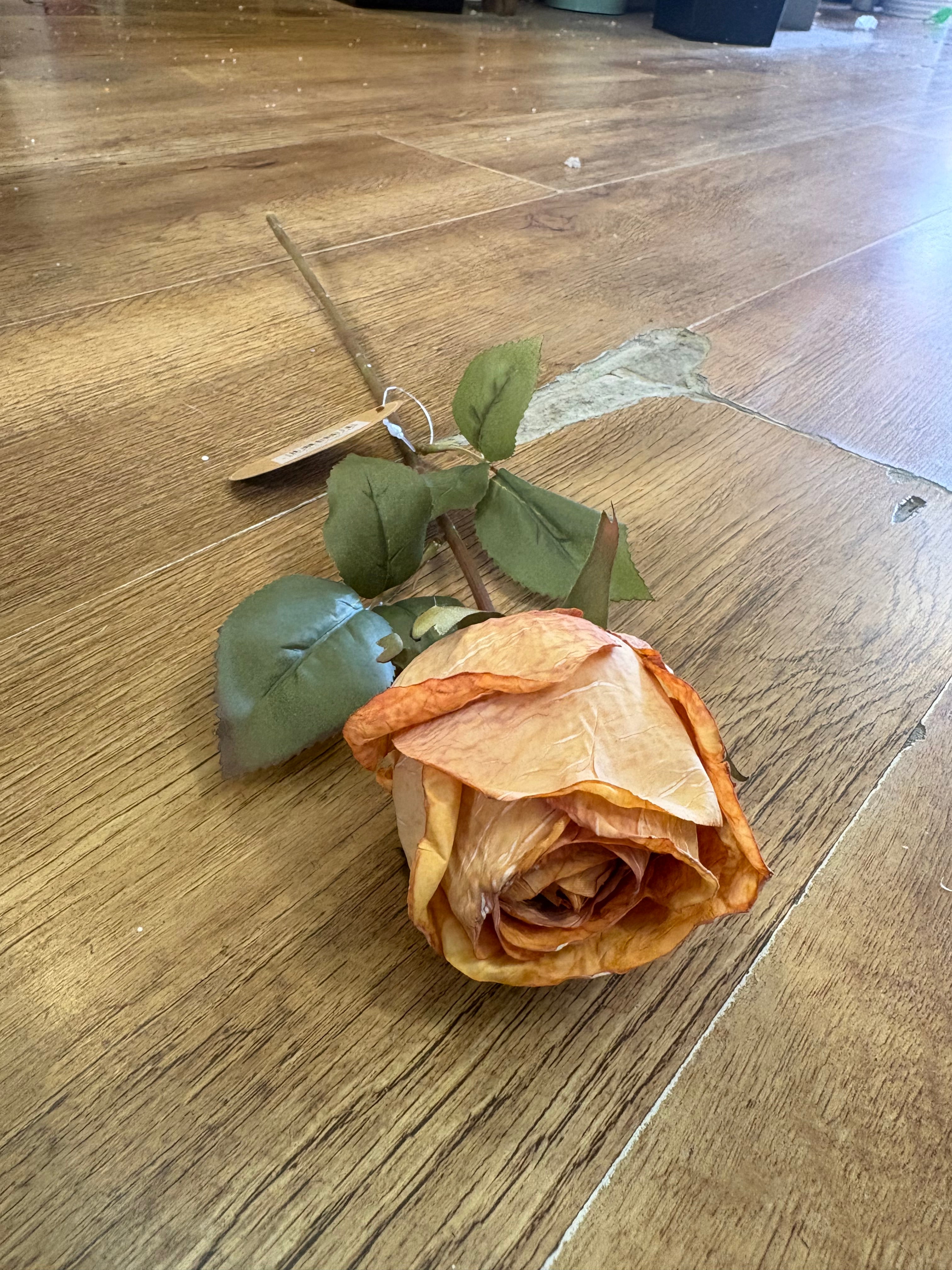 Dried inspired Honey Sunset single rose