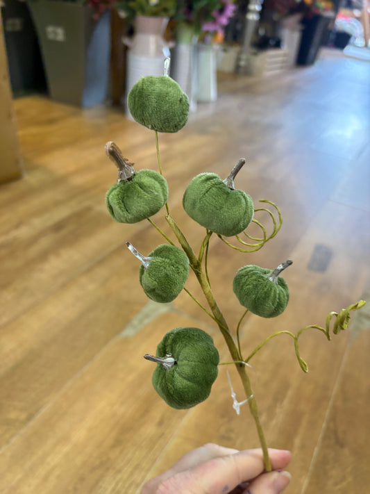 Sage green miniature velvet pumpkin stem