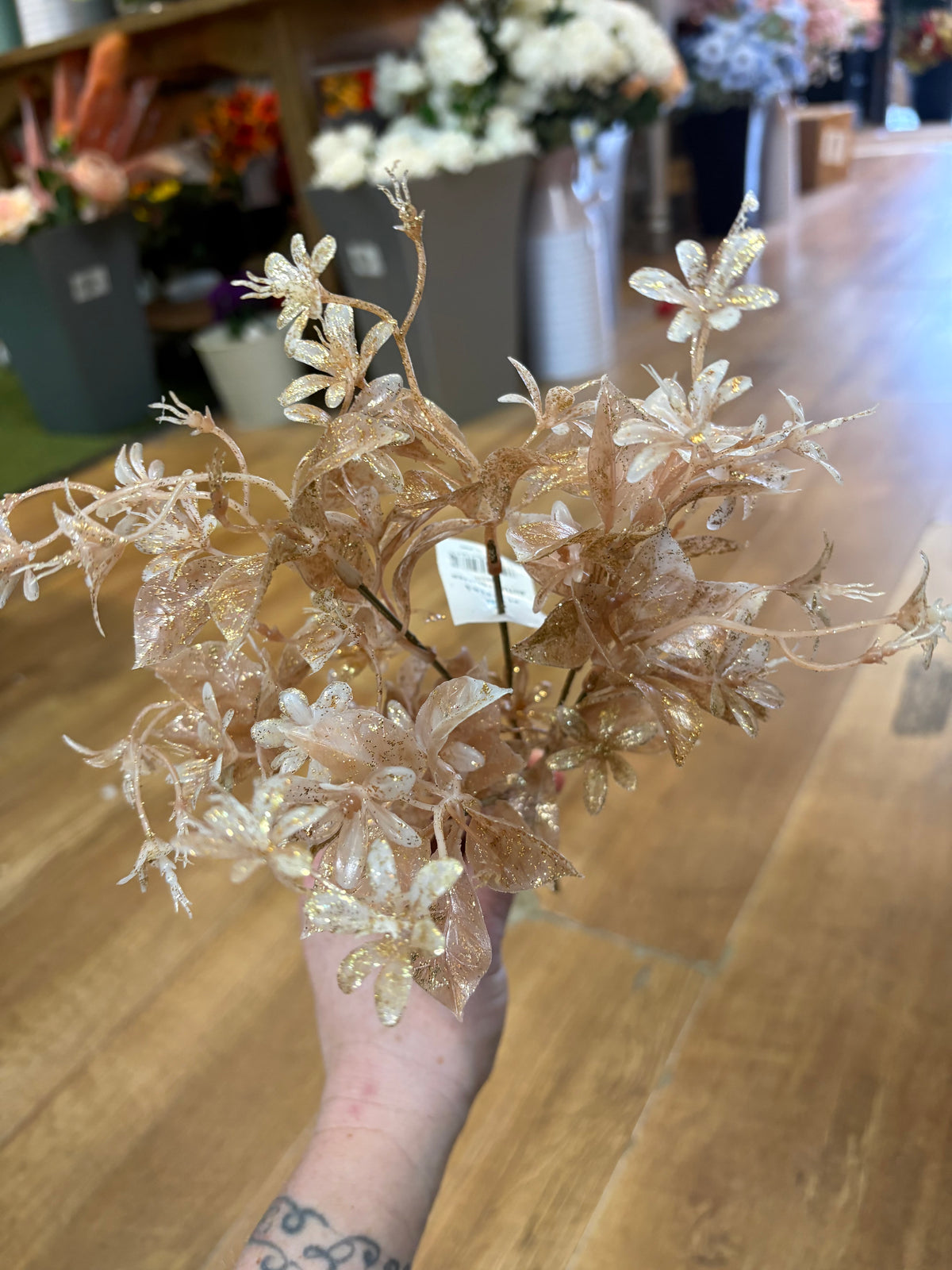 Autumn glitter foliage bush - 4 colours available
