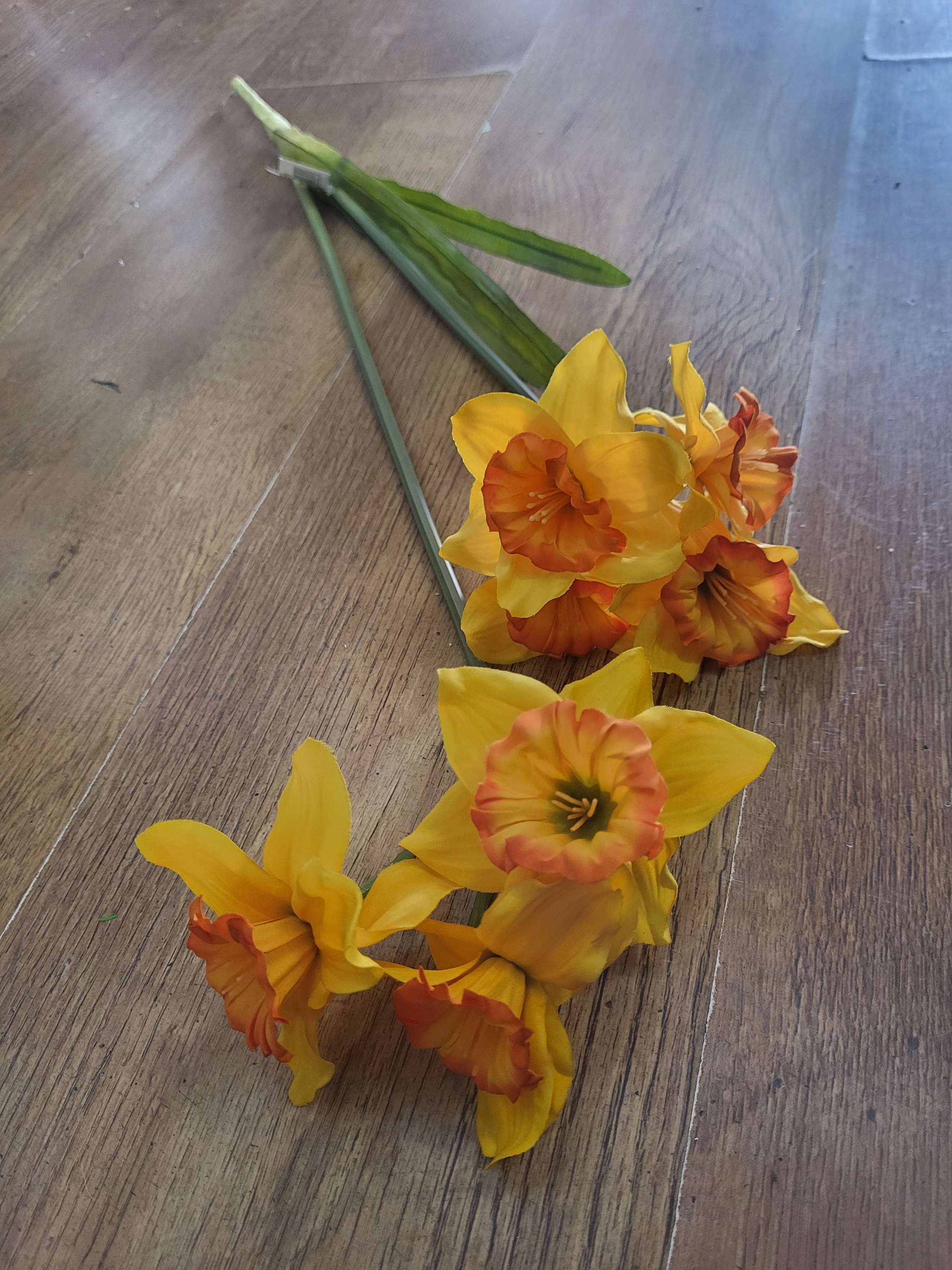 Long stem ruffled daffodil spray image 1