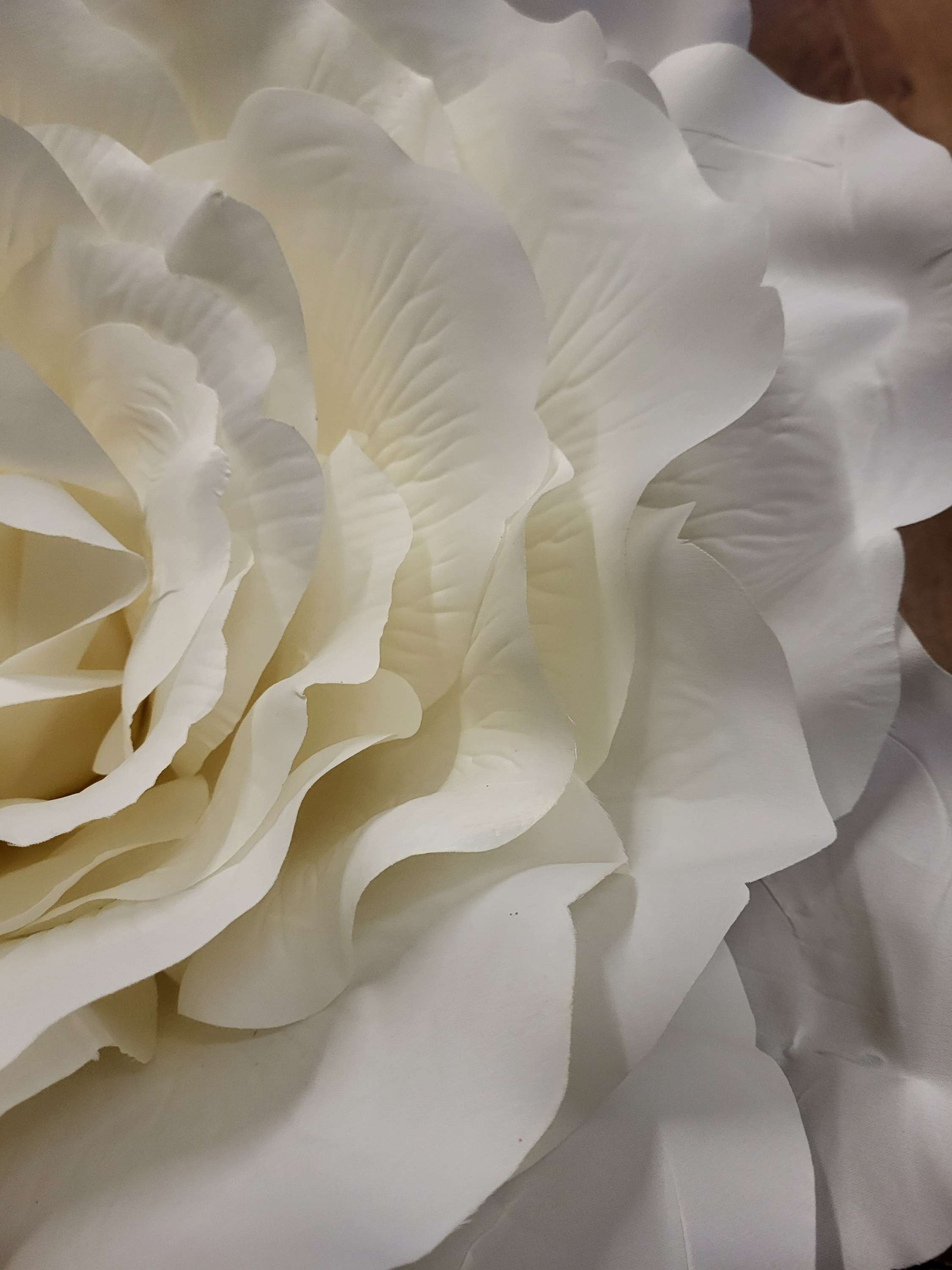 Giant 70cm diameter ivory frilly rose head image 2