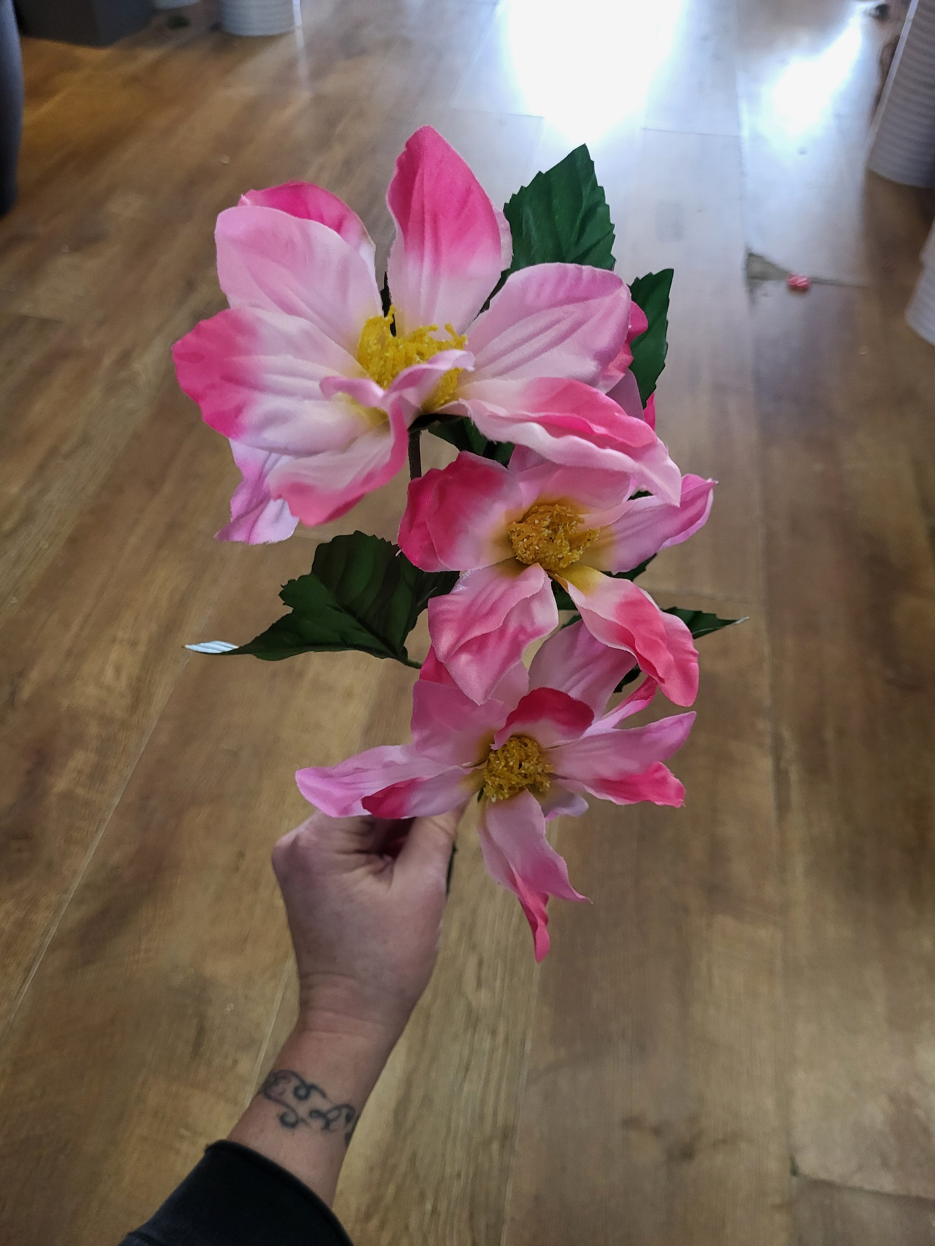 Long stem zinnia - 4 colours available image 6