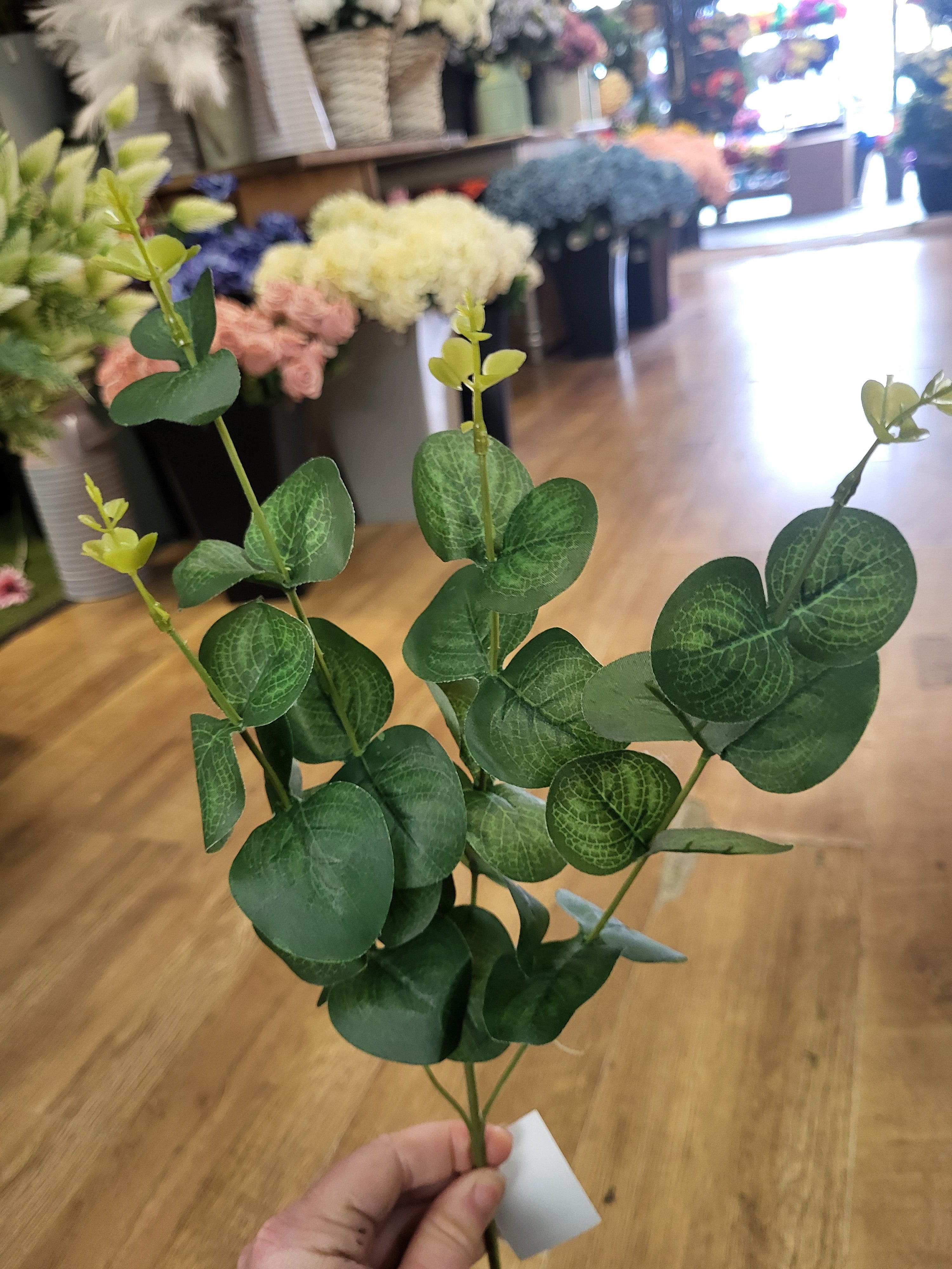 Long stem eucalyptus  - 3 shades available image 8