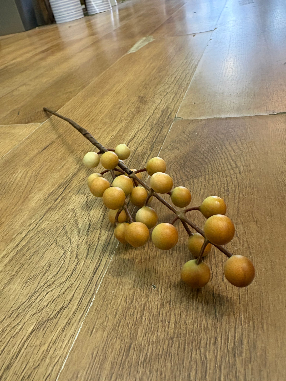Coffee and cream long stem berry pick