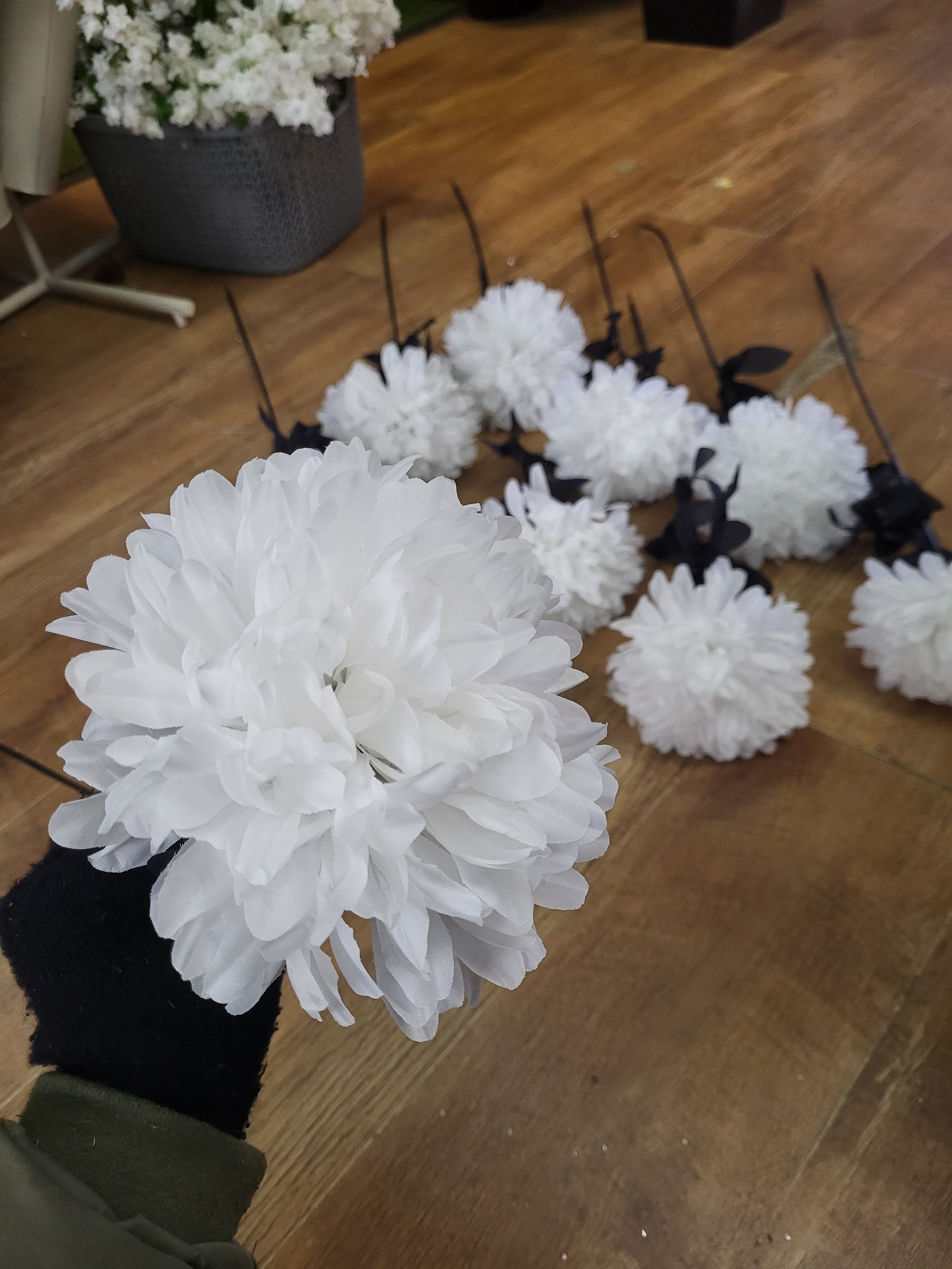 Bundle of 10 long stem white pompoms with black stems image 0
