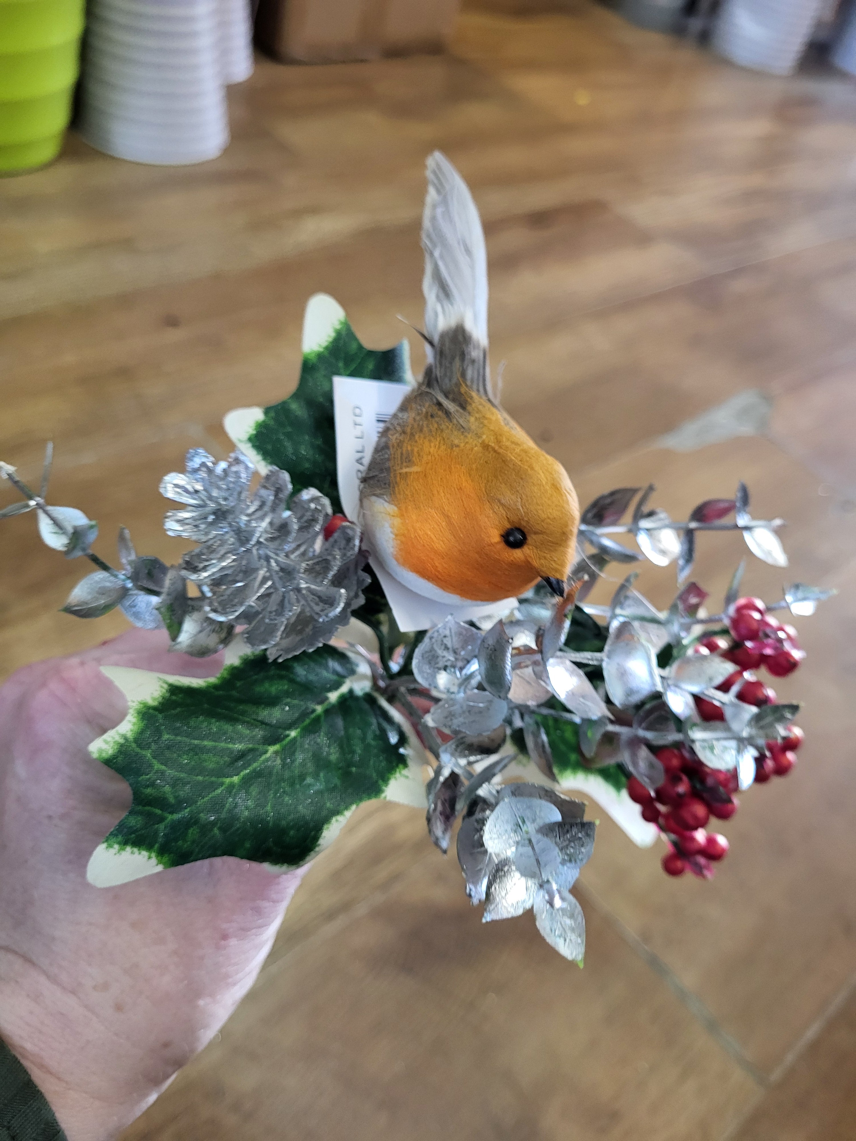 Robin with silver eucalyptus pick  image 0