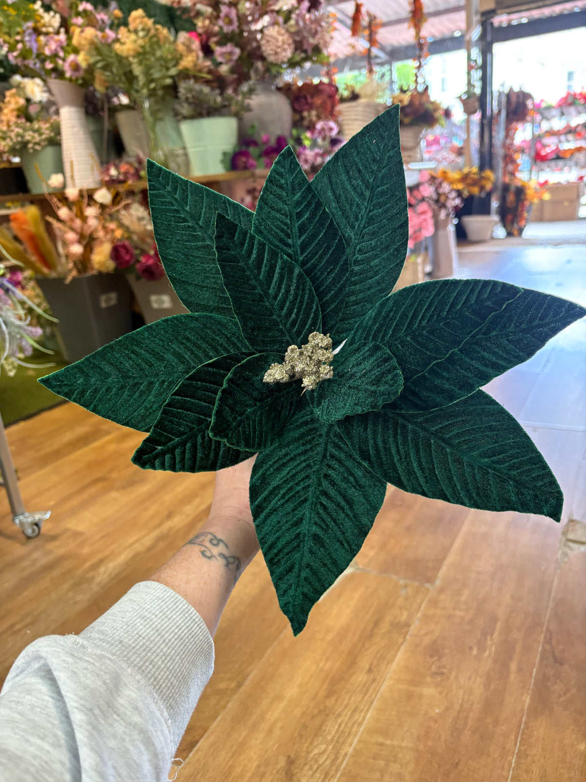 Large emerald green velvet single poinsettia