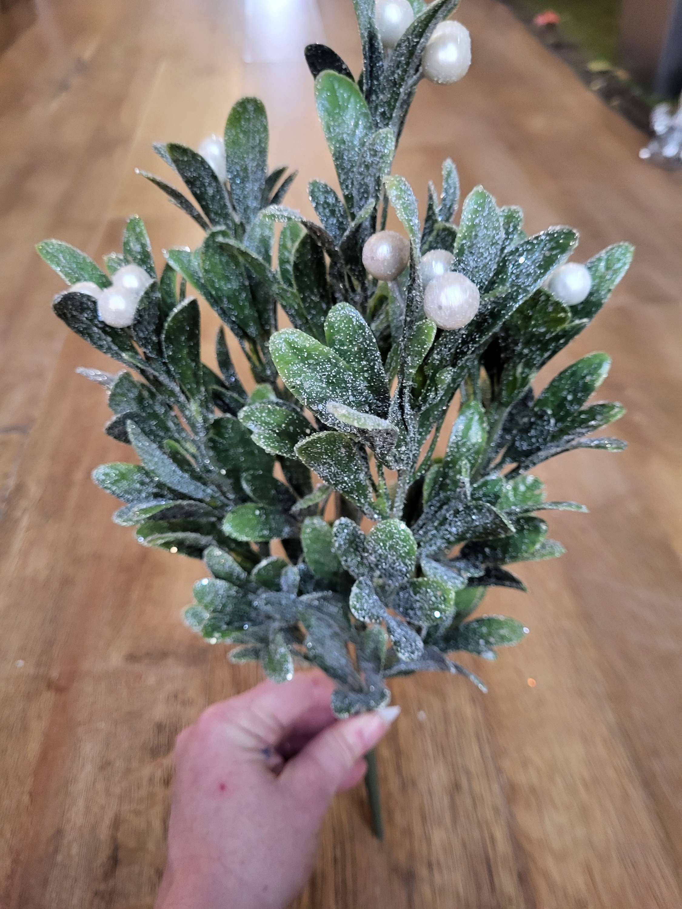 Large frosted pearly mistletoe bunch image 4