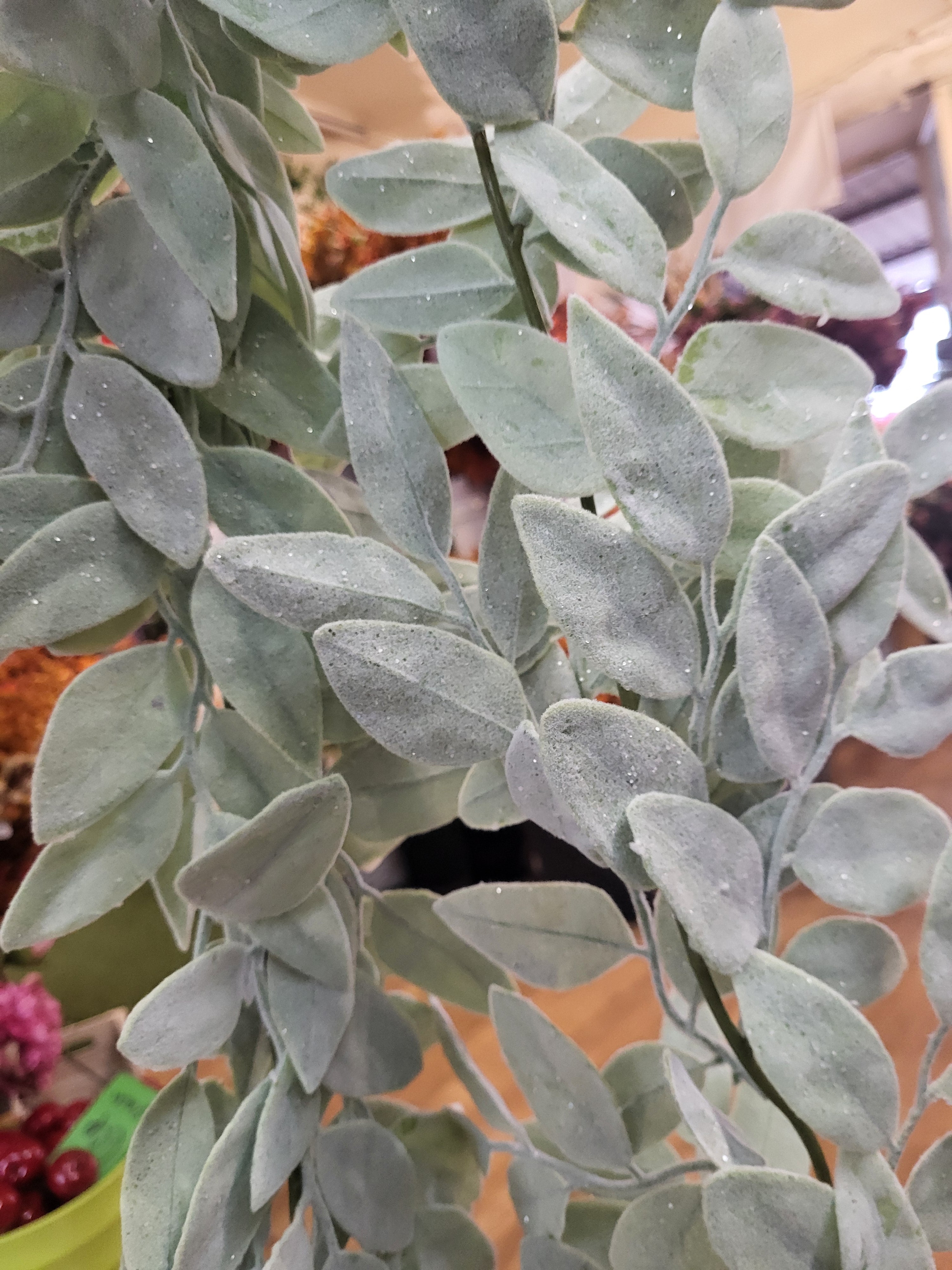 Frosted winter sage leaf garland  image 2
