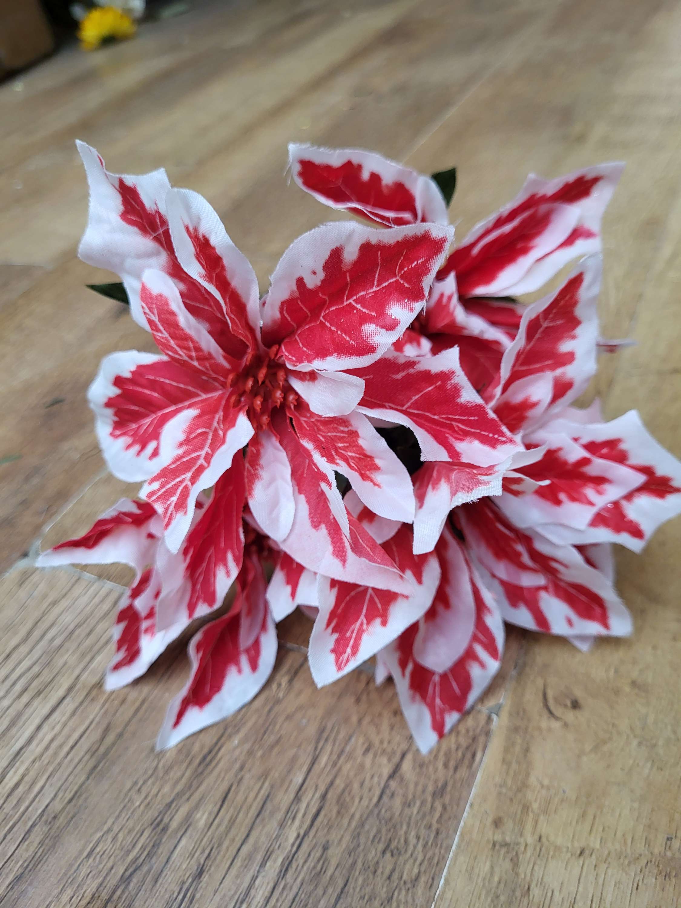 Red and white poinsettia bunch image 3