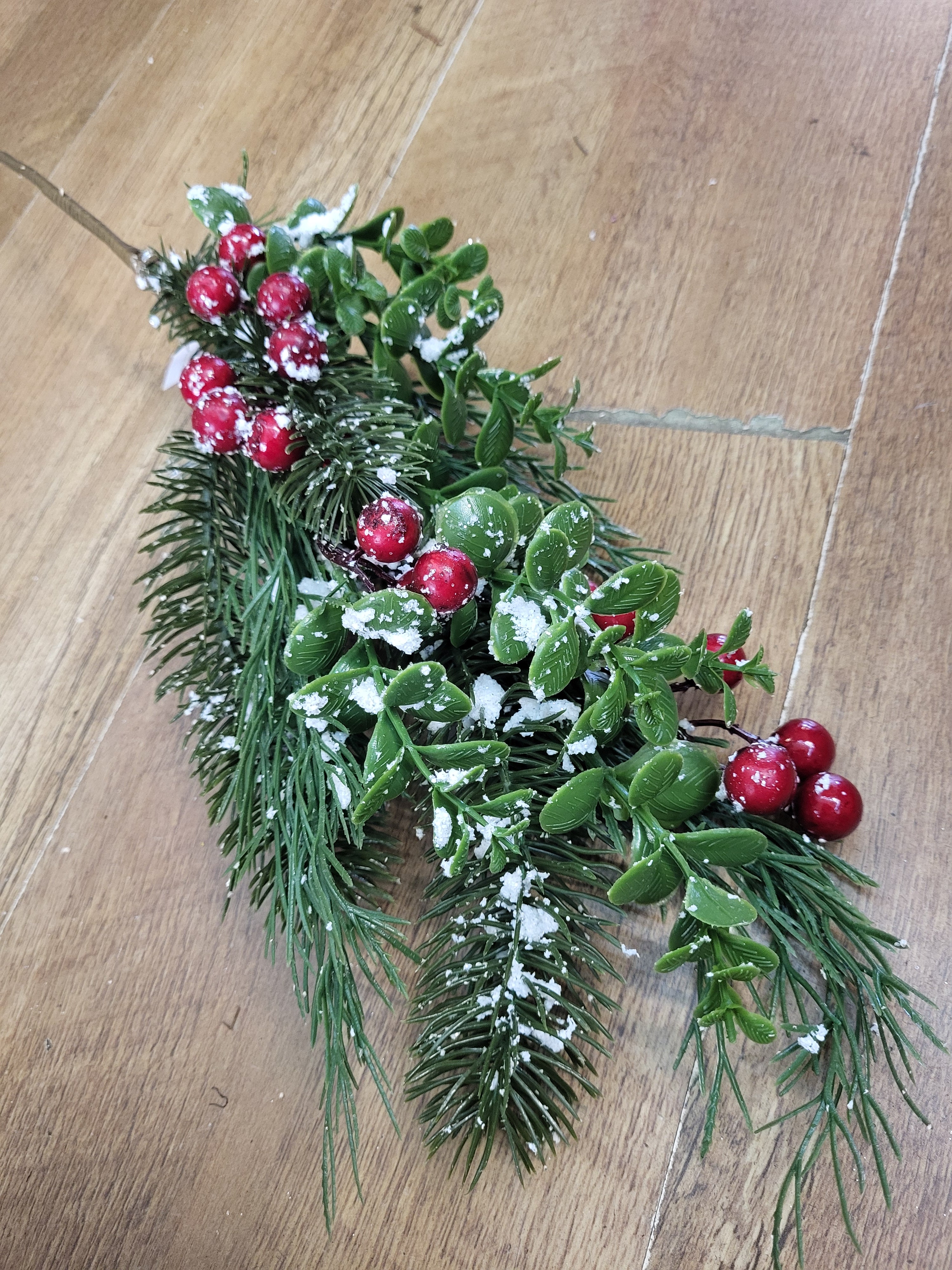 Snowberry/eucalyptus/pine branch image 0