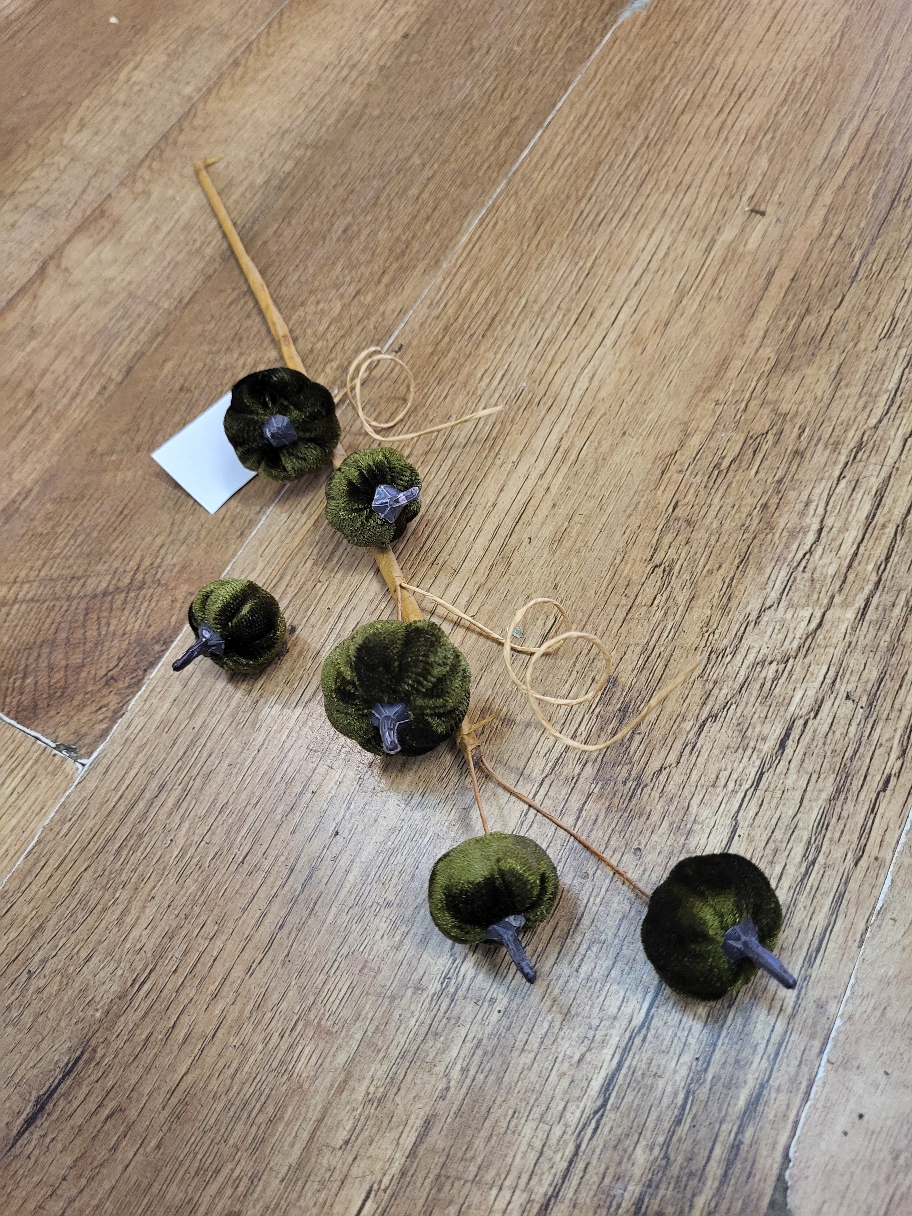 Green velvet miniature pumpkin stem  image 2