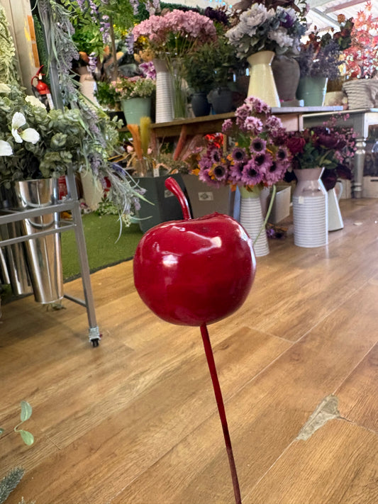 Glossy red apple pick
