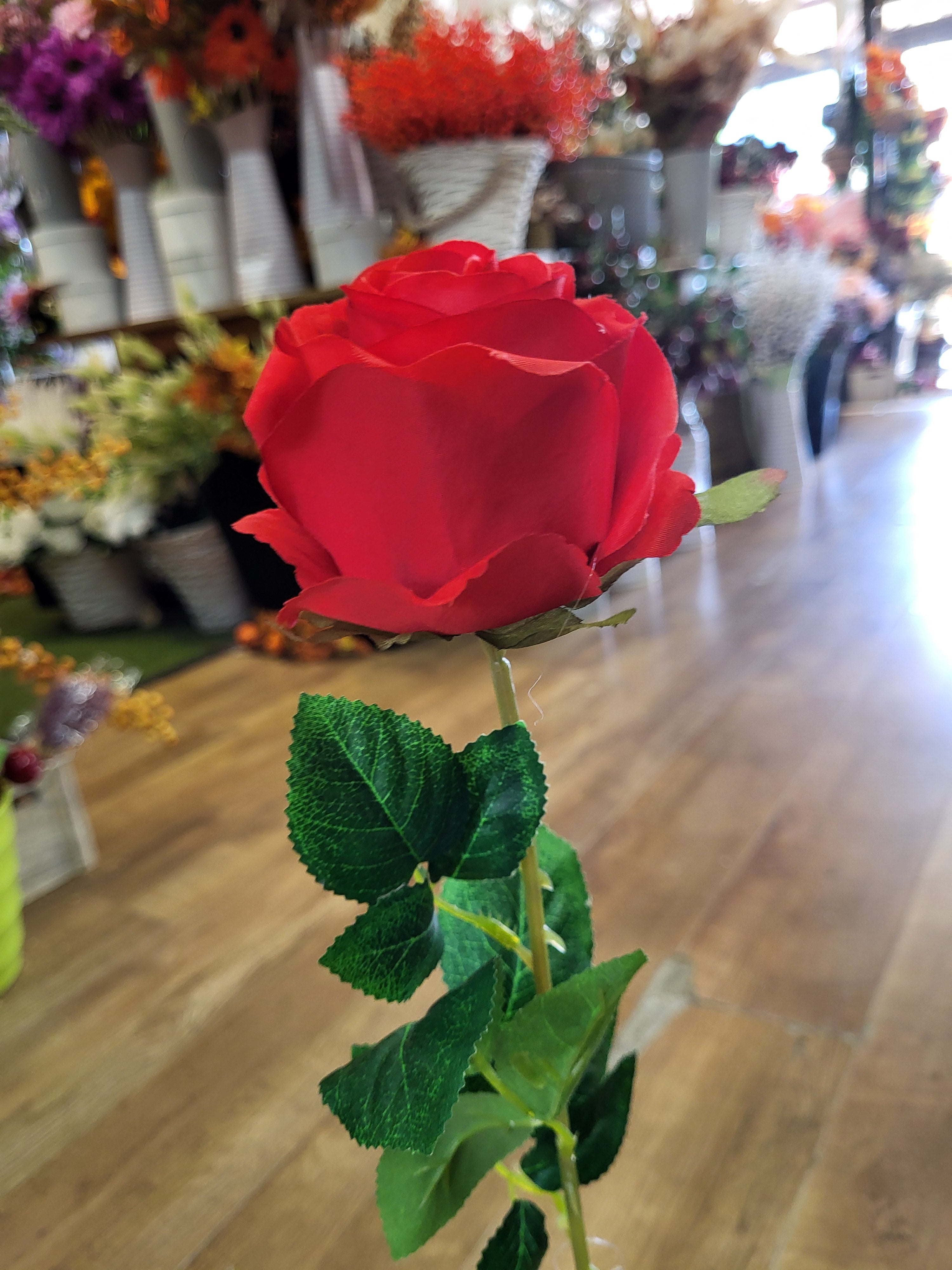 Long stem single red Harper Rose  image 2