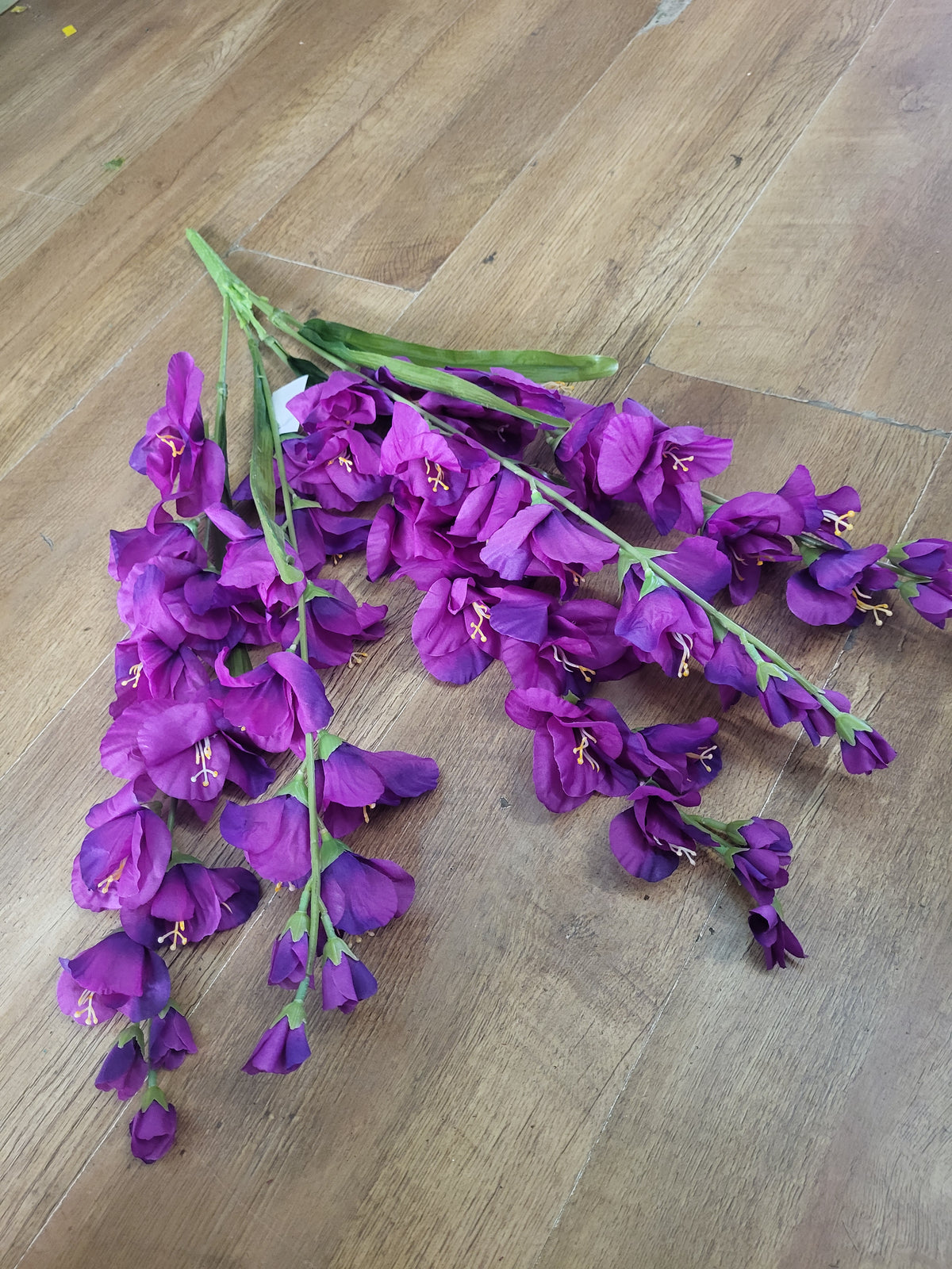Large 5 stemmed bunch of purple gladioli image 1