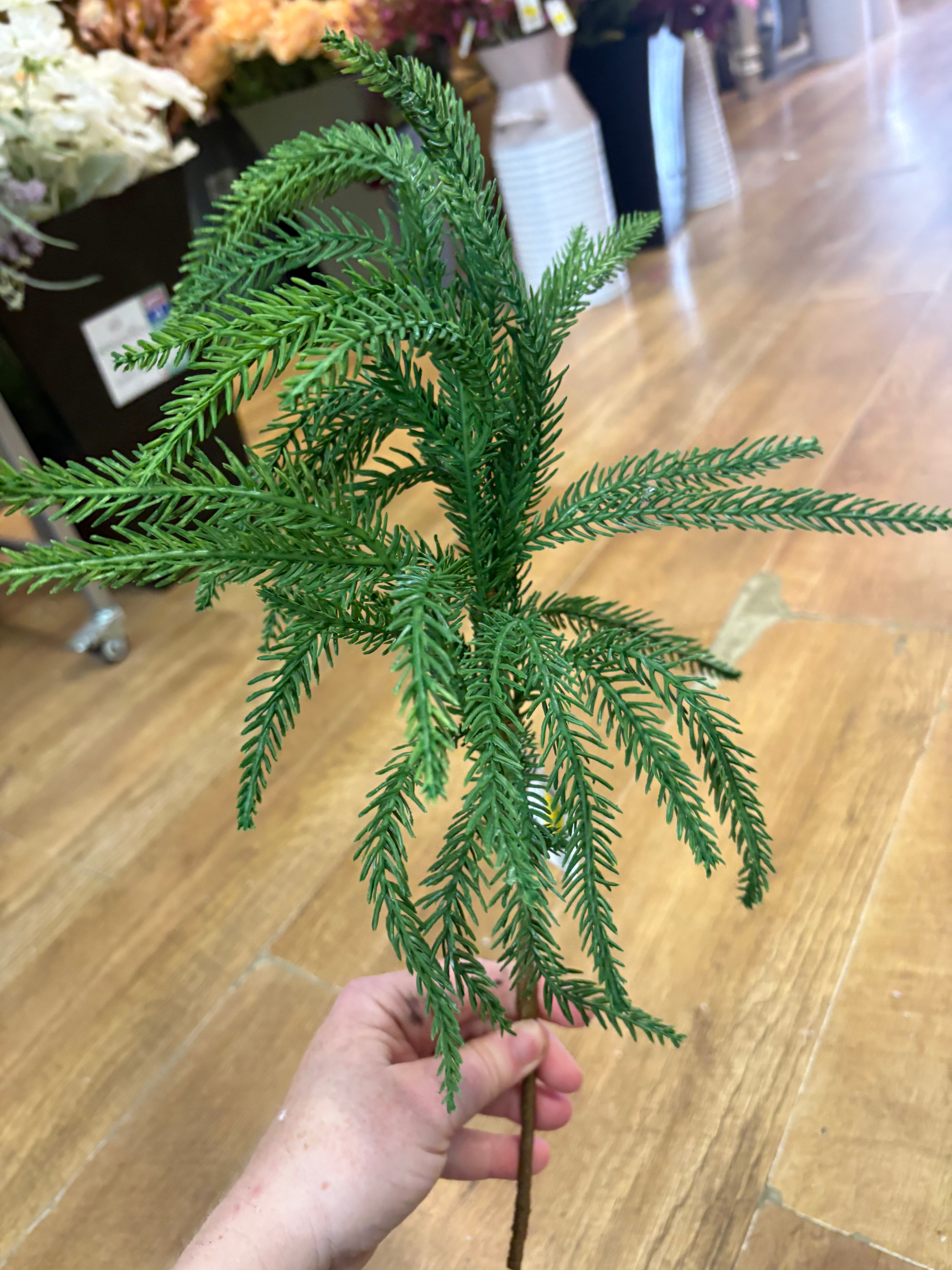 Trailing fir stem