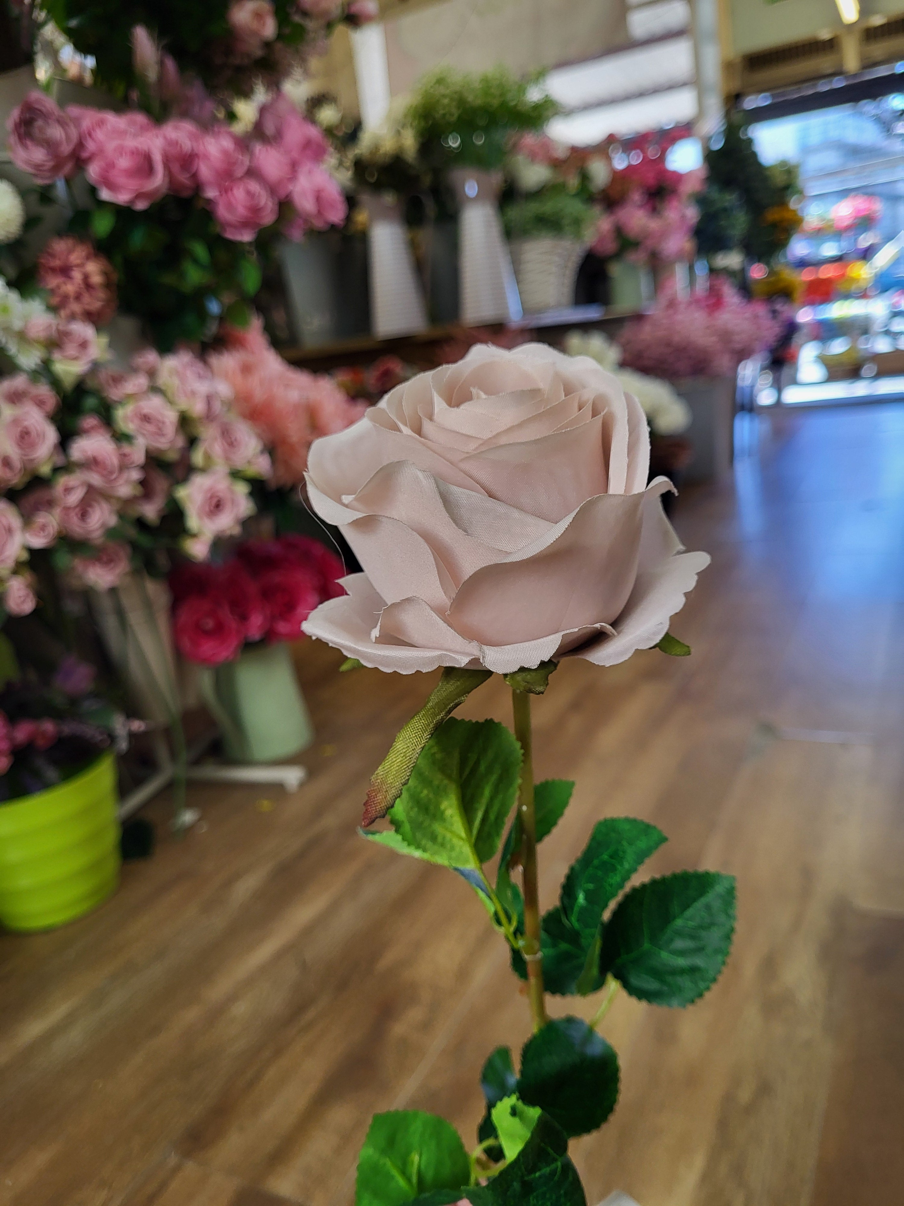 Single Nude Harper rose  image 3