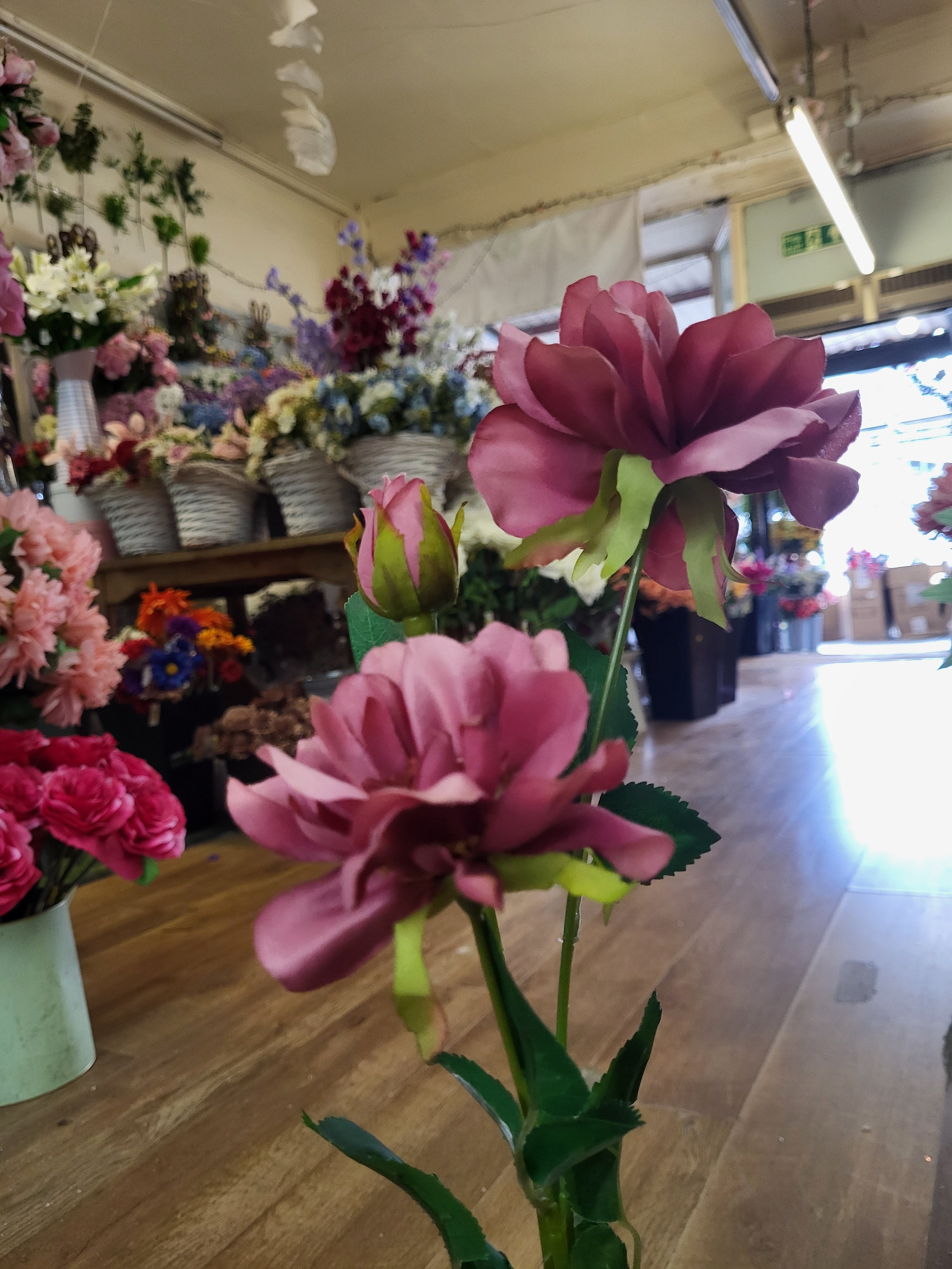 Long stem blush pink waterlily Dahlia spray image 4