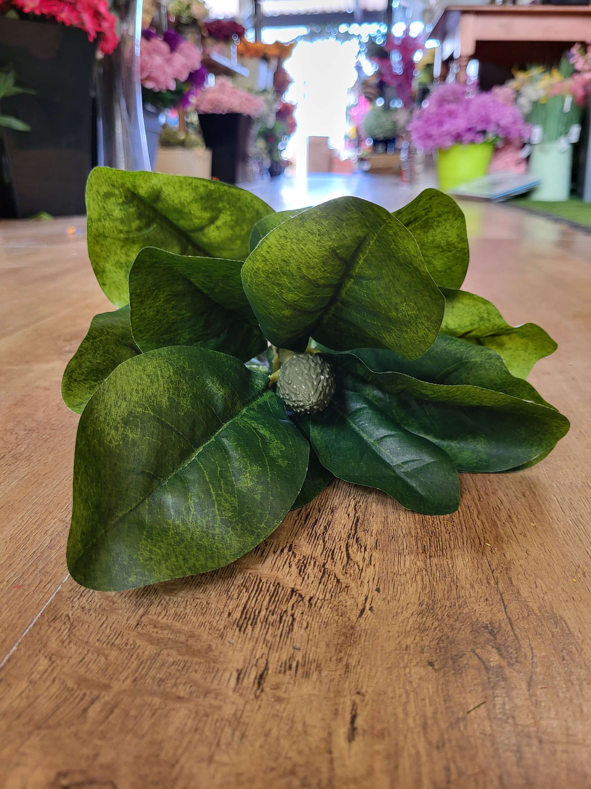 Long stem magnolia leaf  image 2