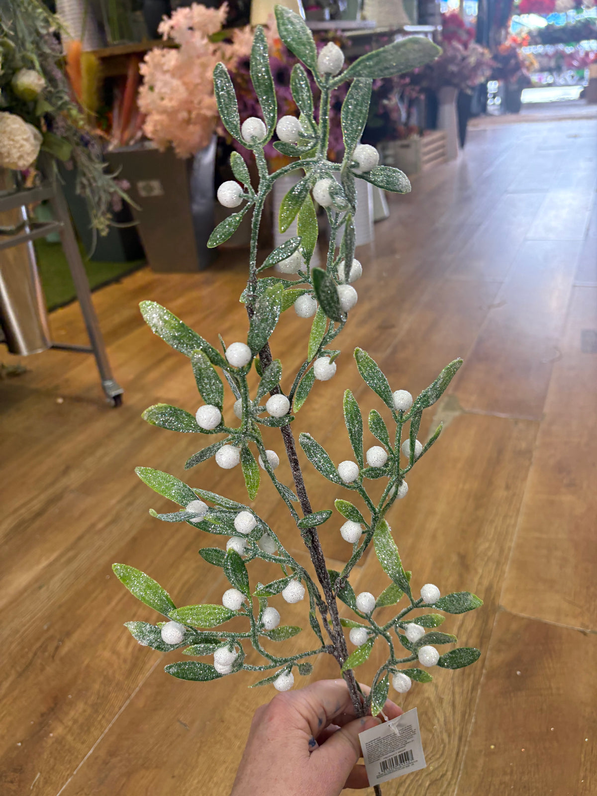 Long stem frosted mistletoe branch