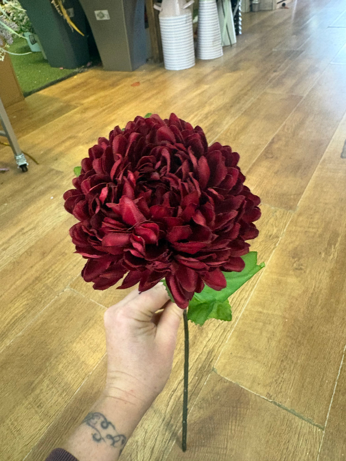Long stem deep red chrysanthemum