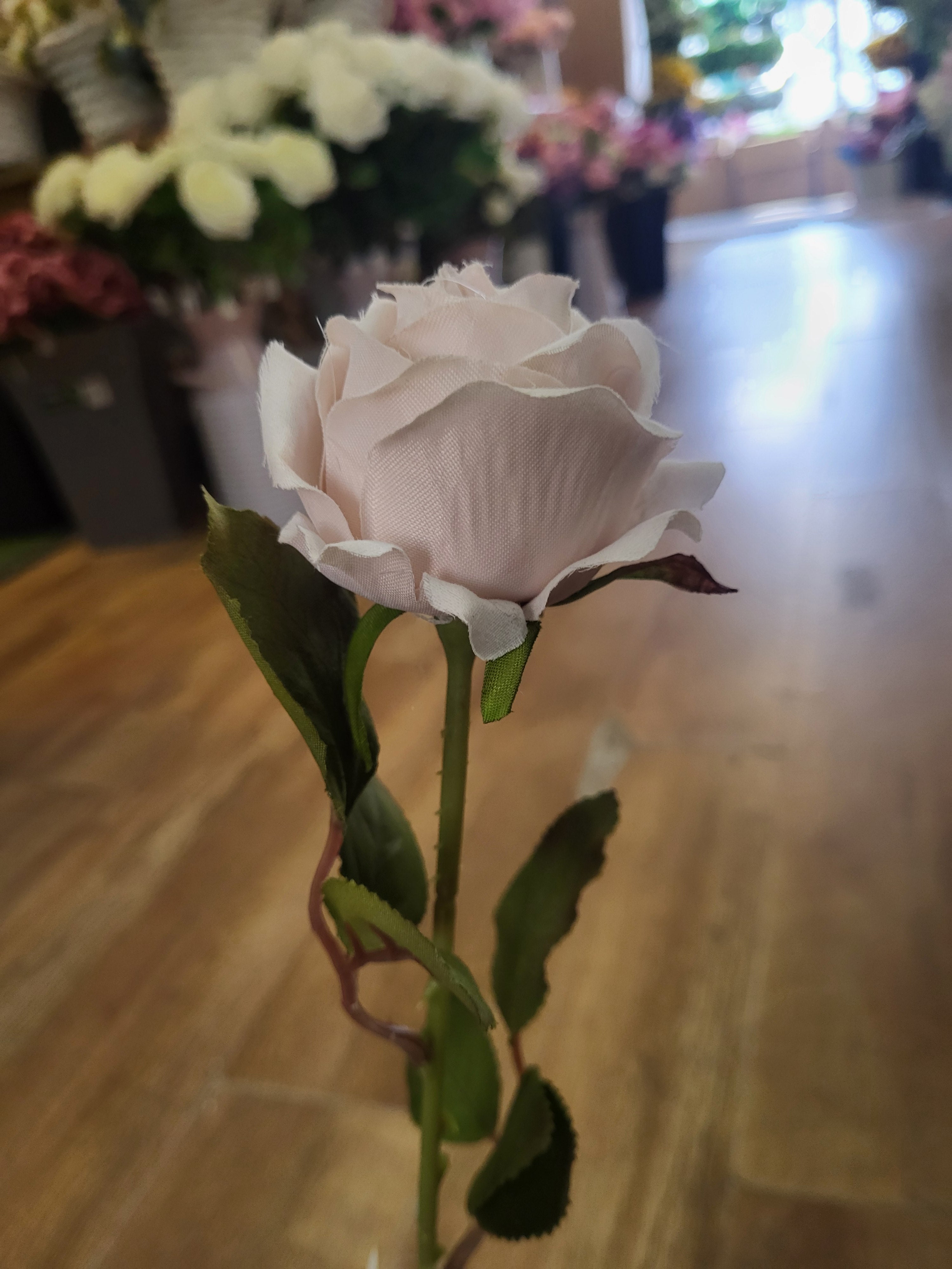 Nude Amira Rose stem image 4