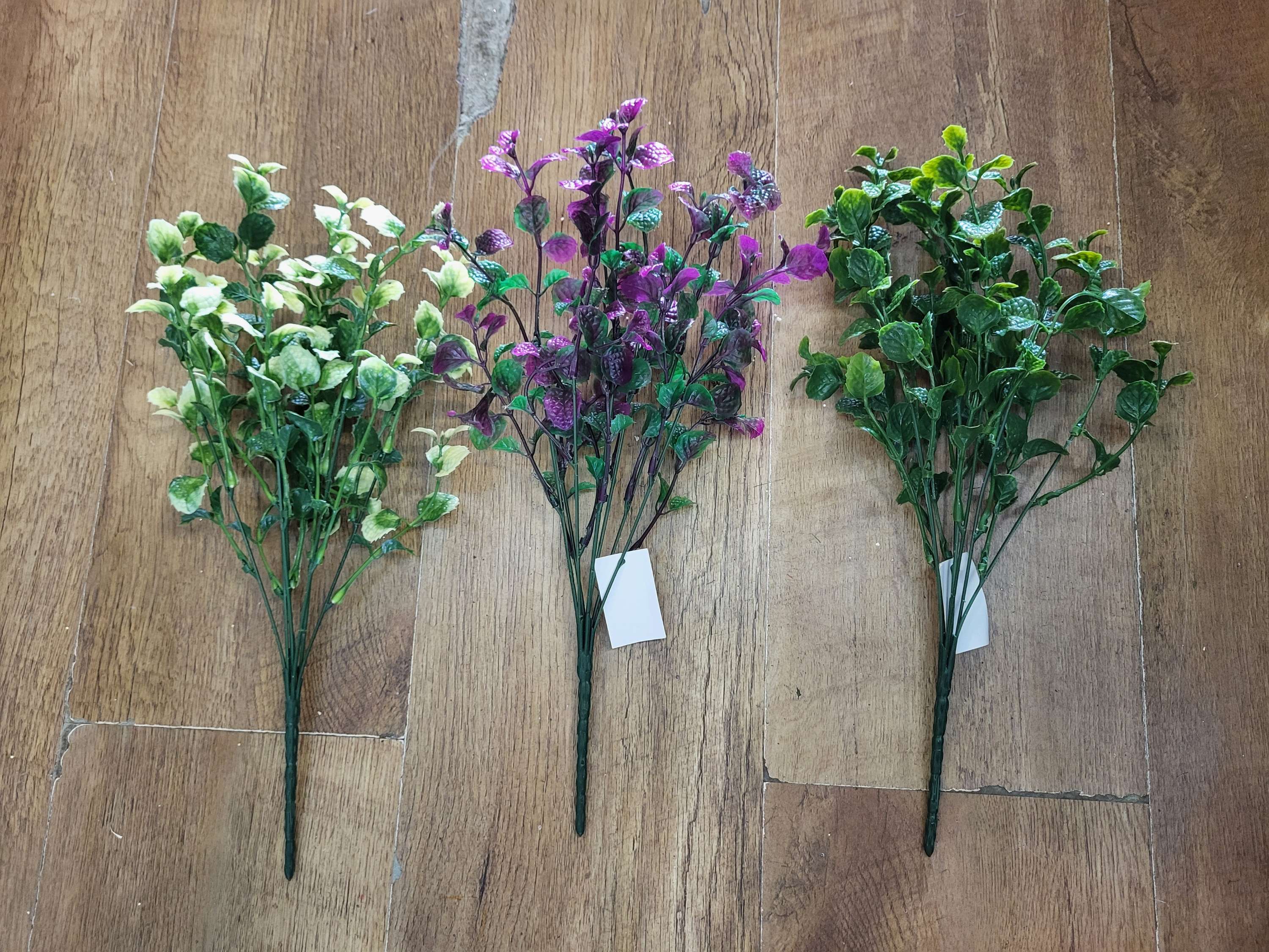 Mint bush - 3 colours available image 0