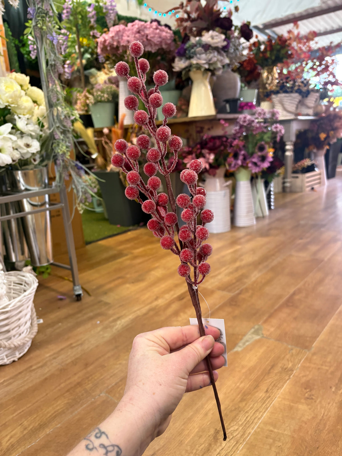 Mediums length frosted darker red berry stem