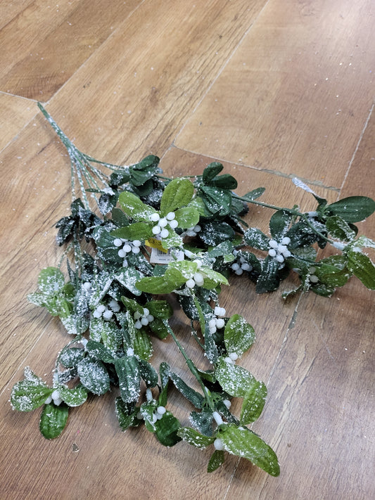 Large frosted mistletoe bunch image 0