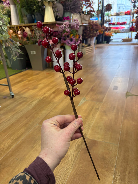 Red long stem berry pick