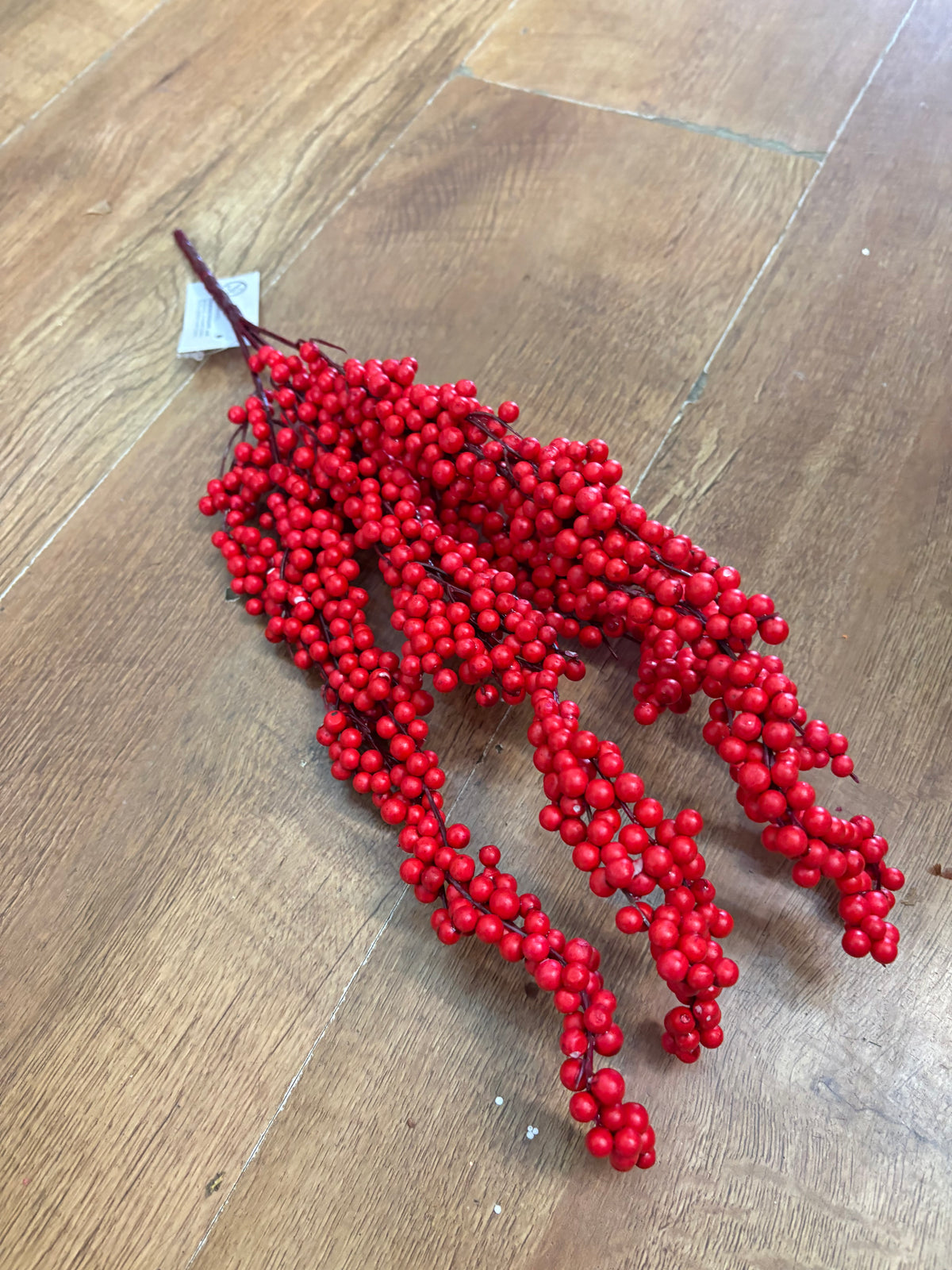 Red berry bunch