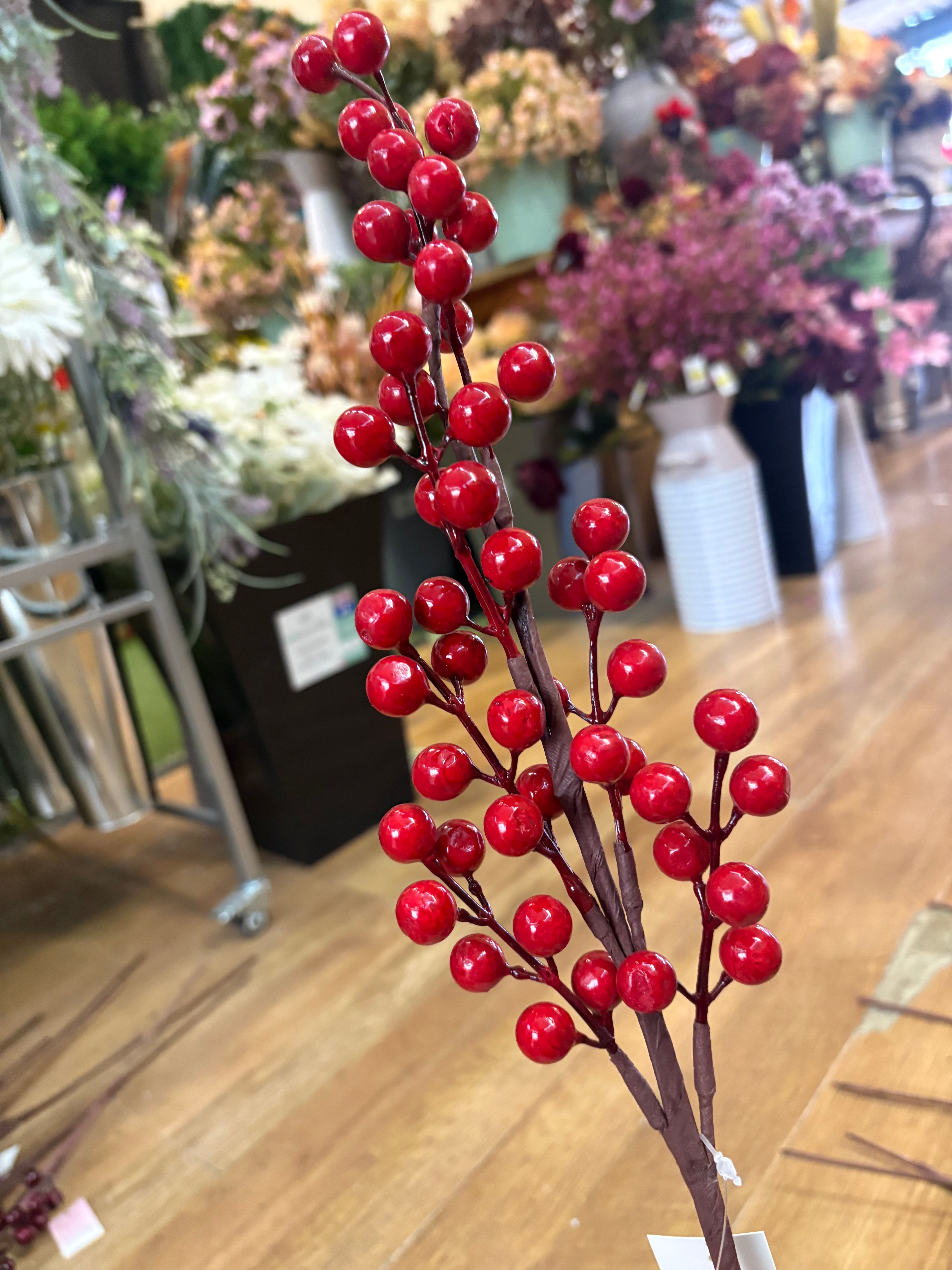 Red berry stem