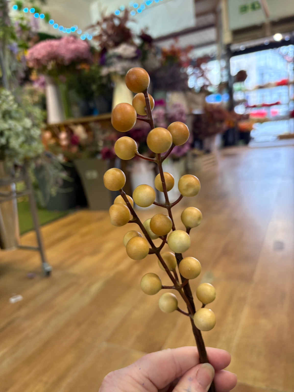 Coffee and cream long stem berry pick