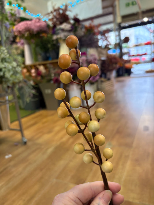 Coffee and cream long stem berry pick