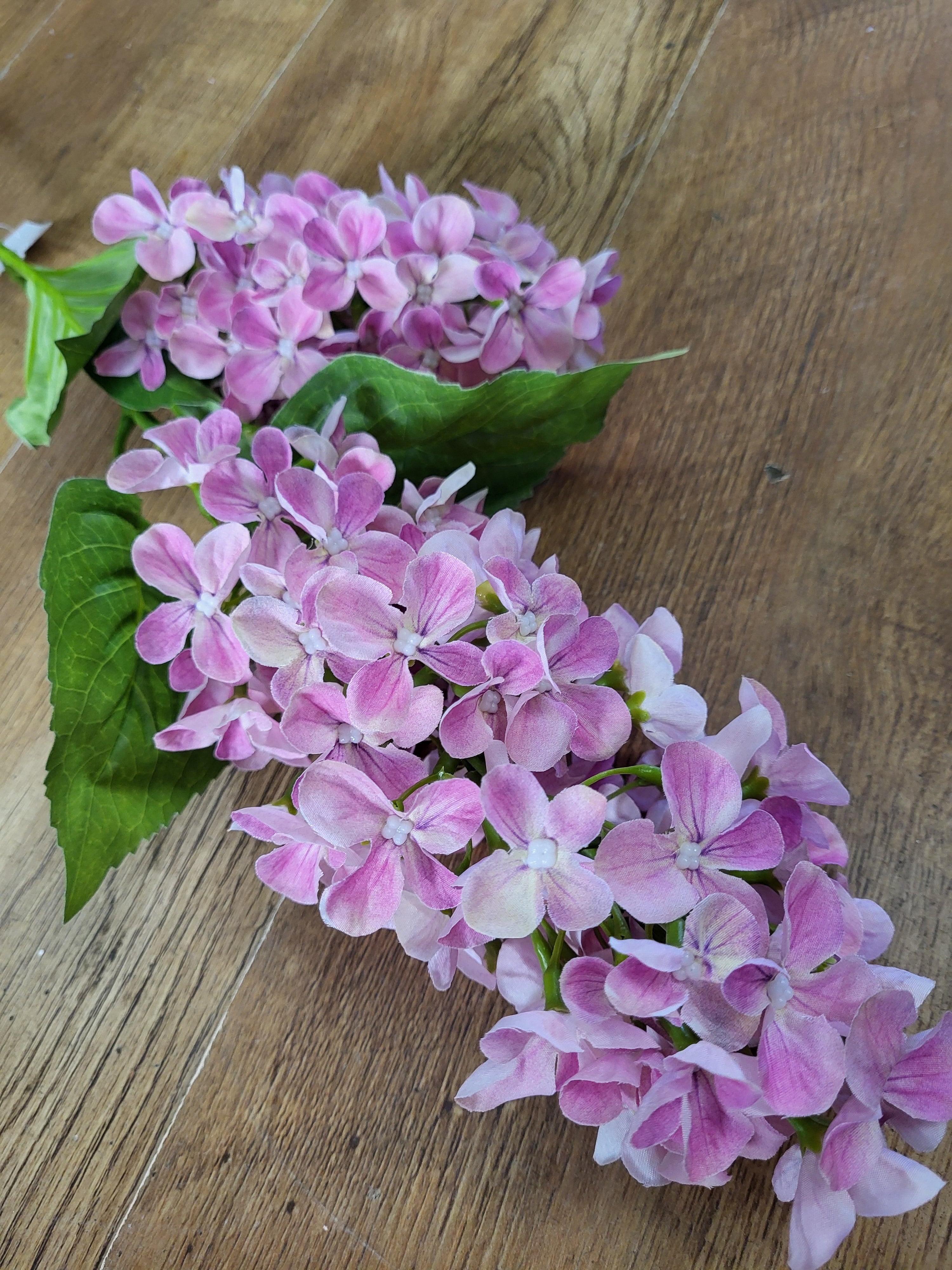 Long stem light pink paniculata hydrangea  image 4